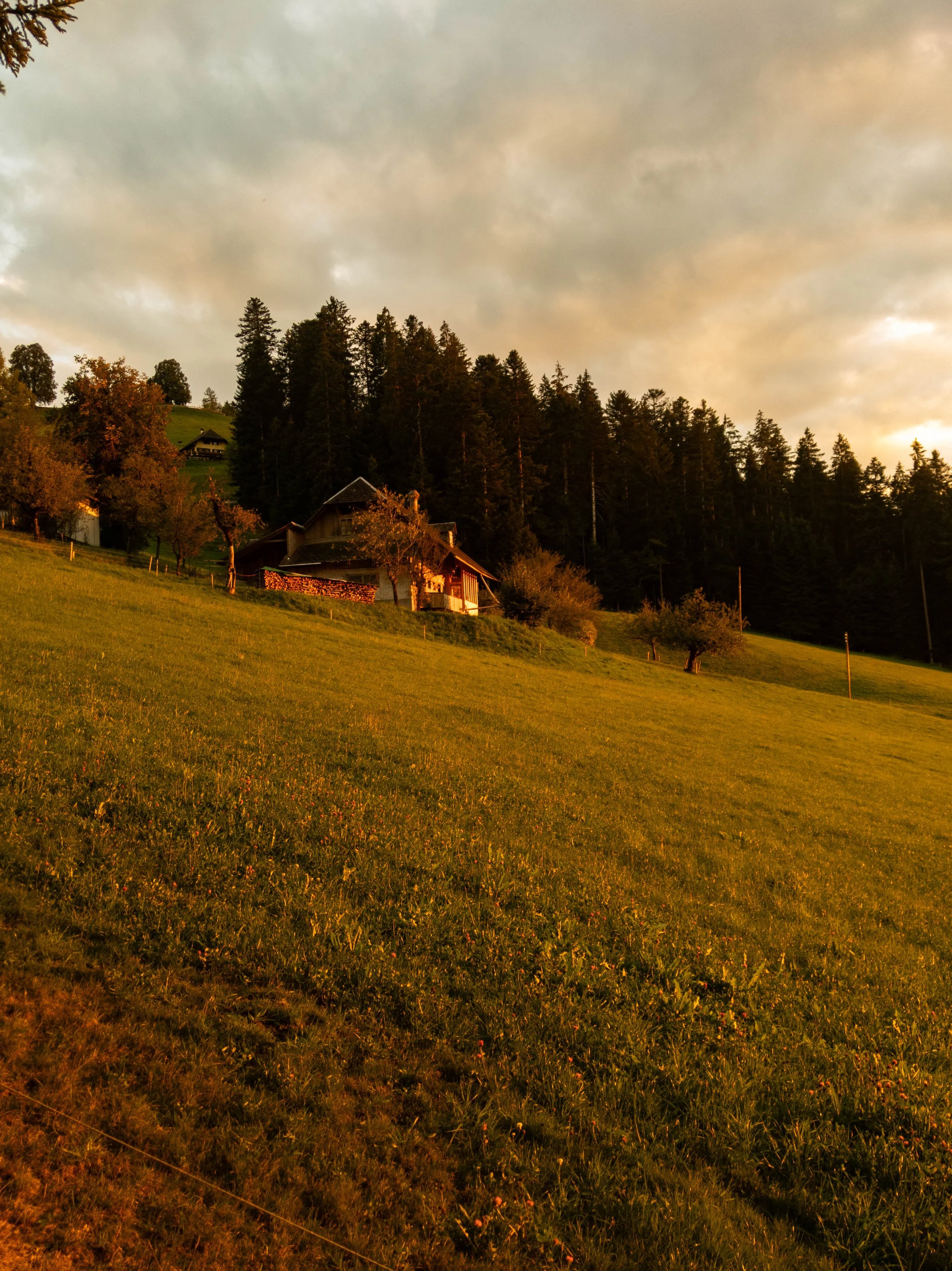 test-171626800.jpg