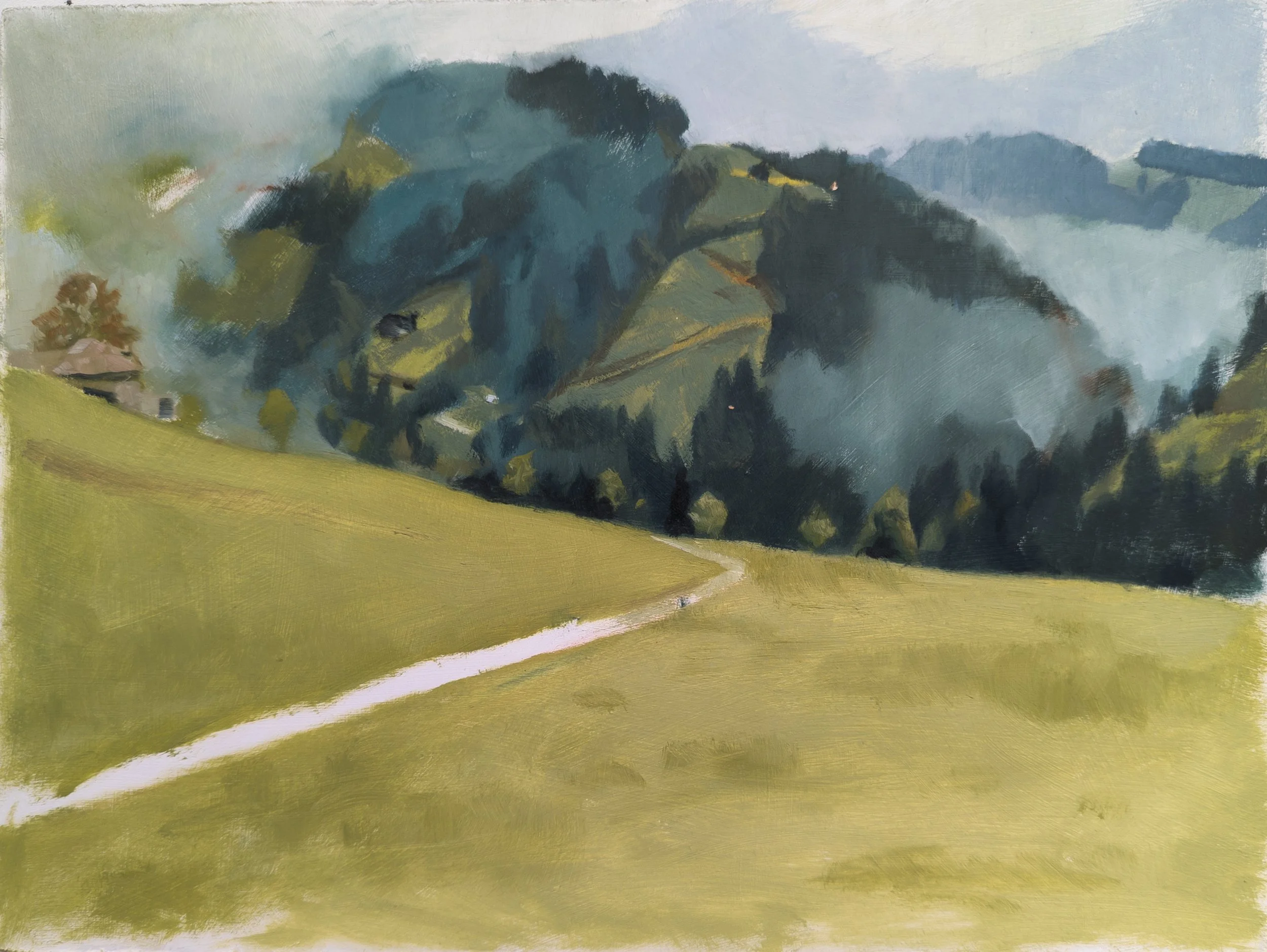 Trubschachen, Switzerland. 9x12" Oil on MDF Panel
Available