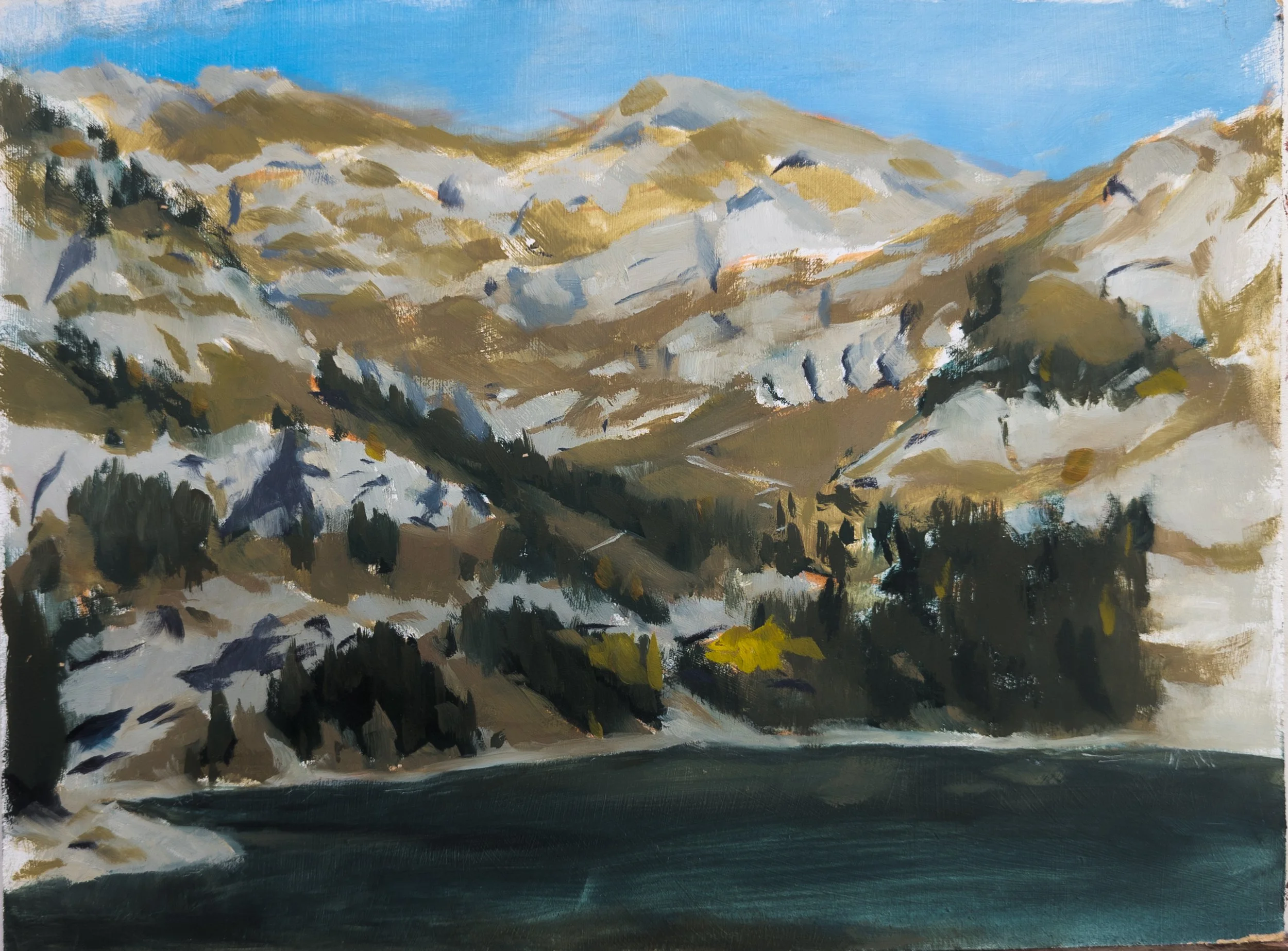 Kandersteg, Switzerland. 9x12" Oil on MDF Panel
Available