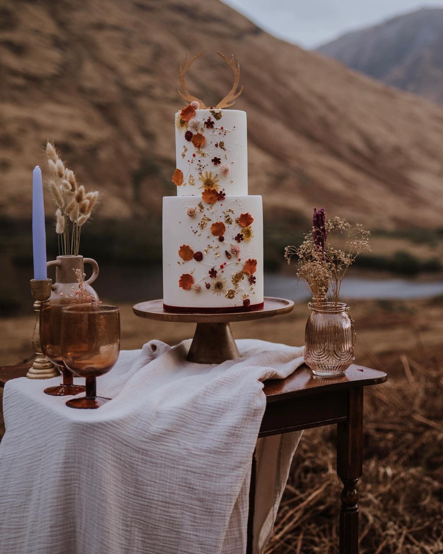 D R E A M Y styled photoshoot with the amazing @caitlinwilderphotography up in Glencoe the other week. I love a wee styled shoot! Caitlin sent me a mood board and I had a mess around with some dried edible flowers from @nurturedinnorfolk and some sug