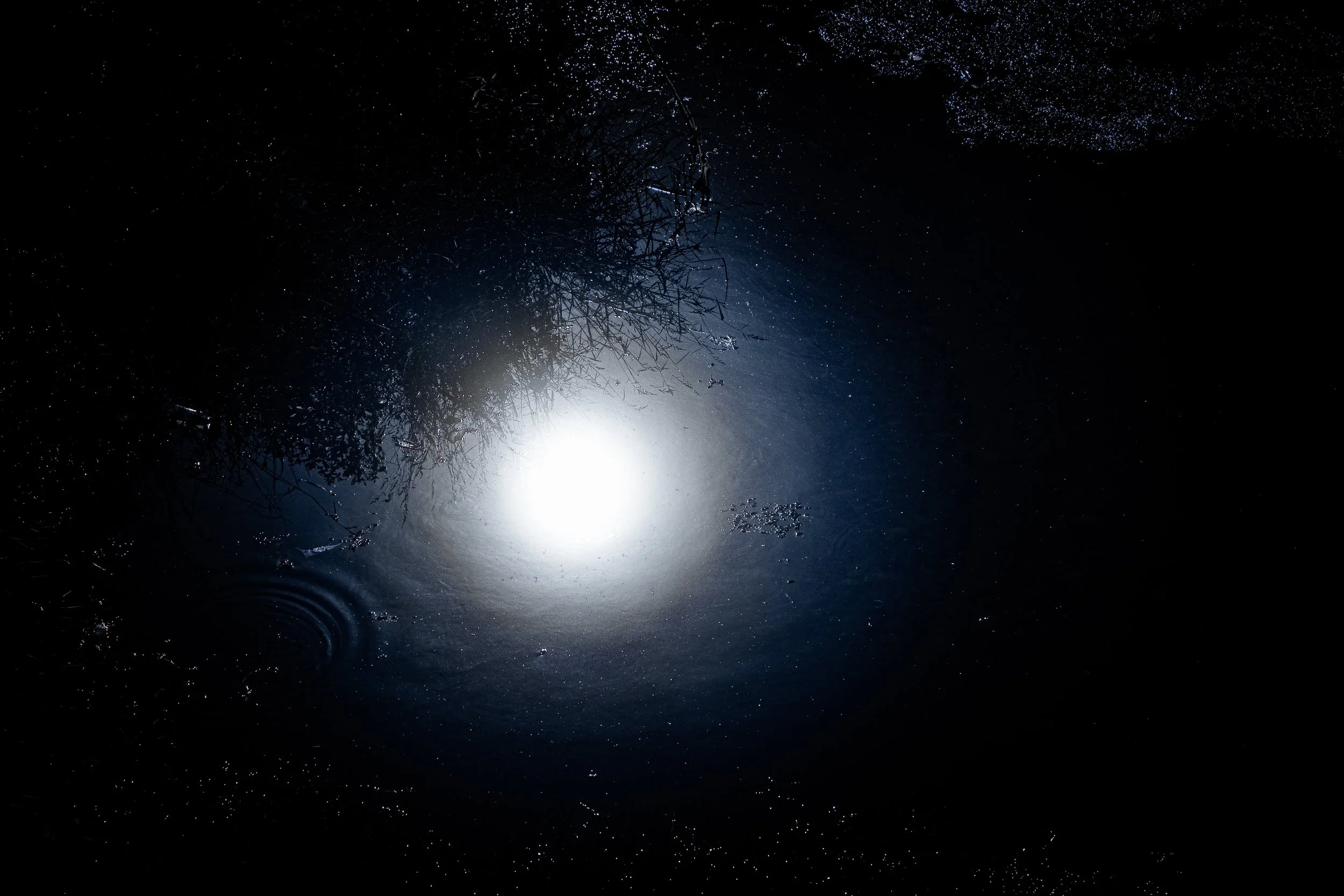 The Drowned Moon