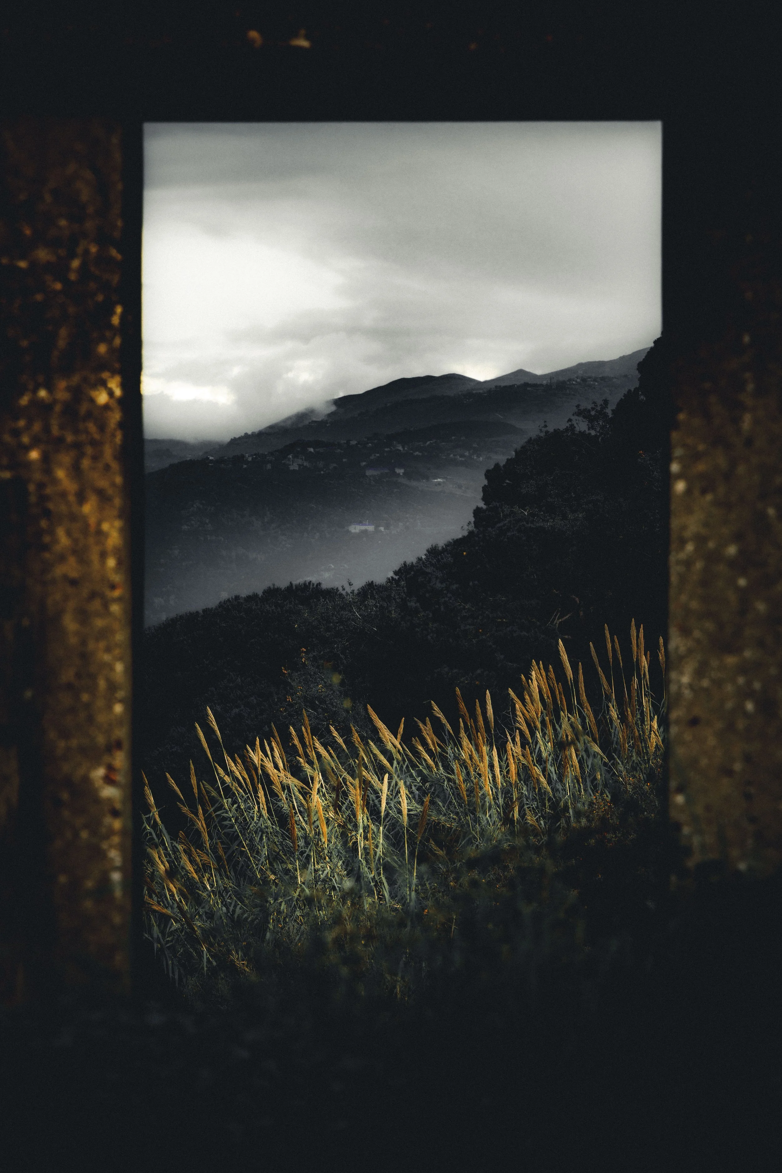 From the Ruin