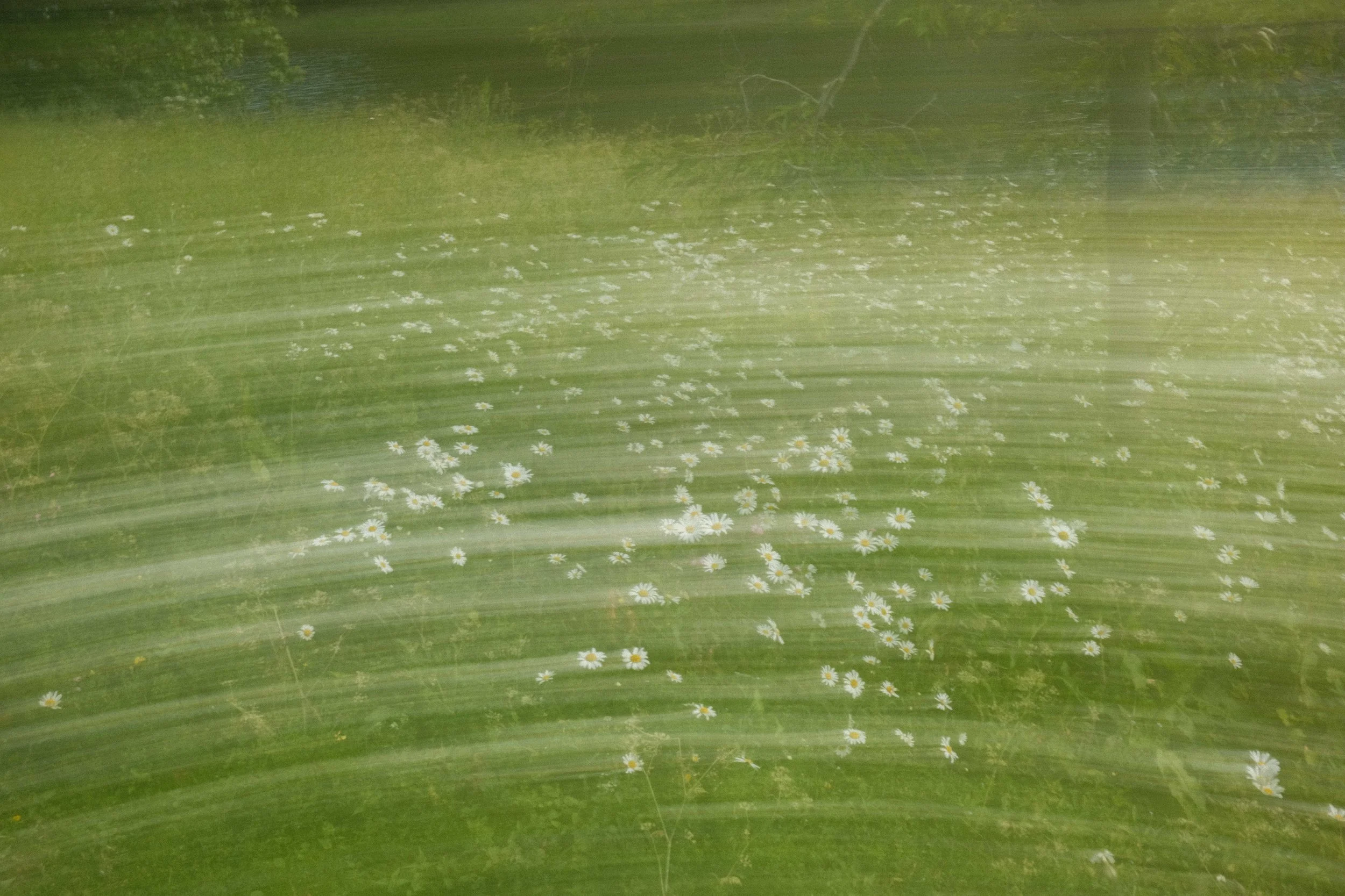 Field - III