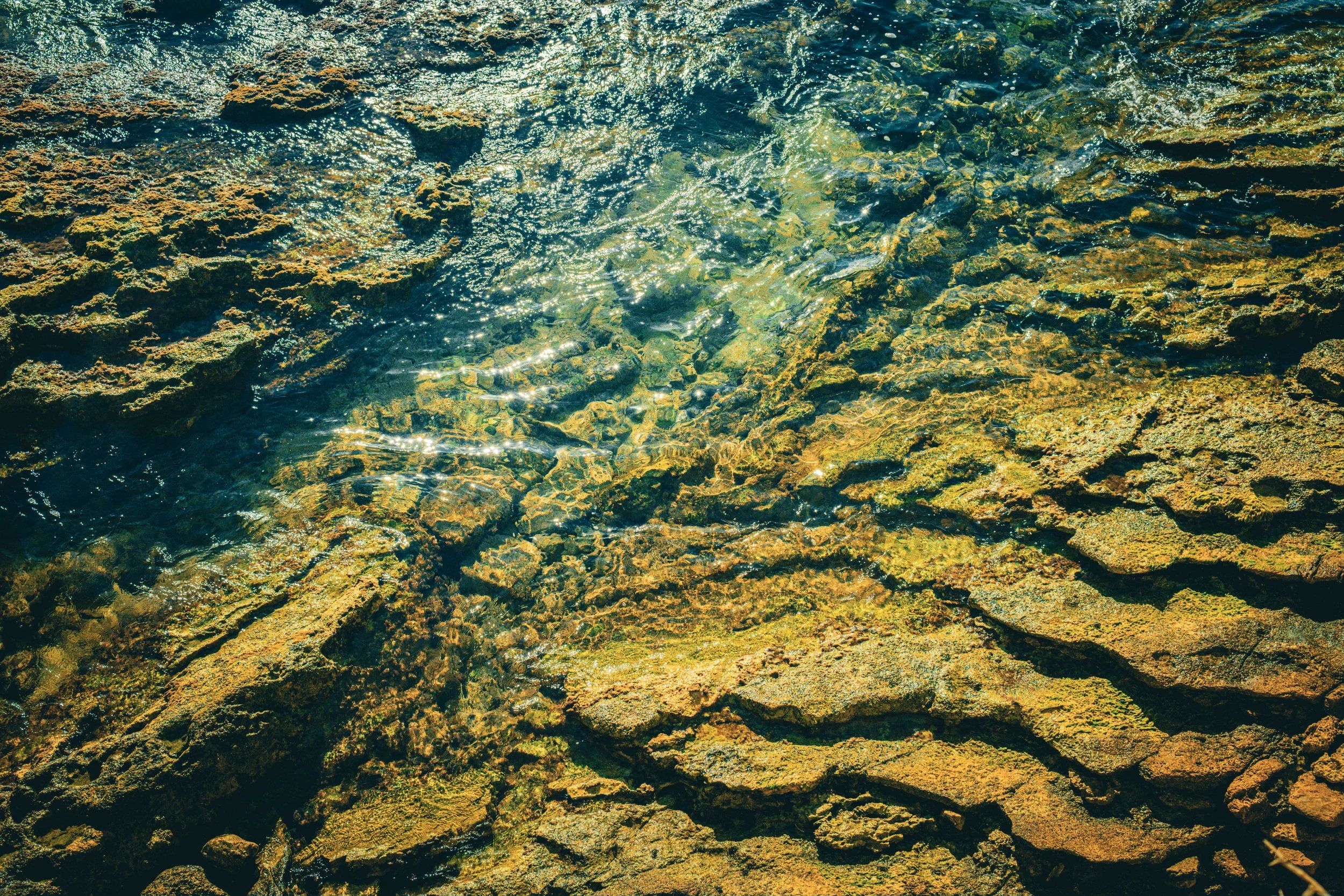 Shallows