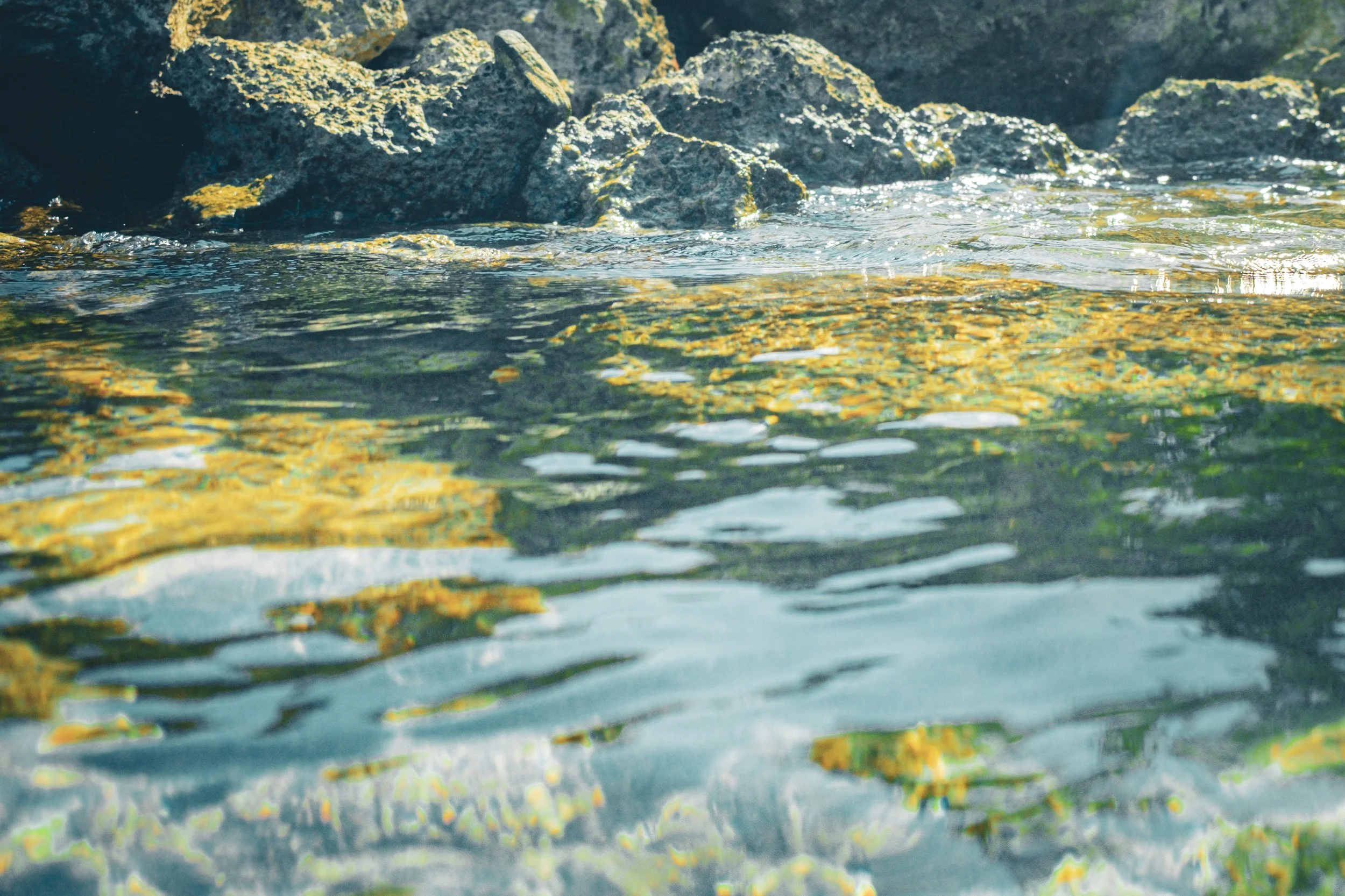 Quiet Ripples