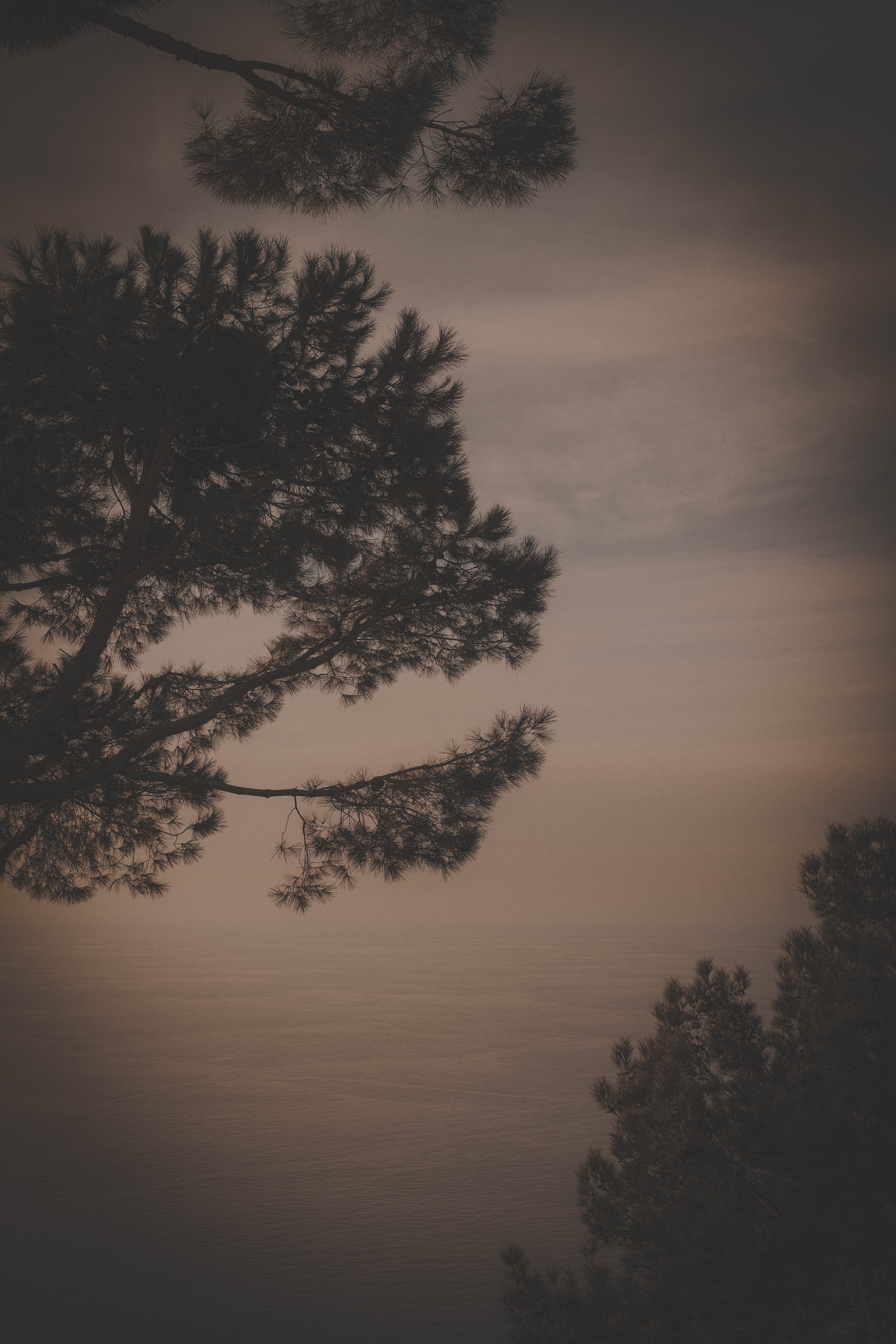 The Silence After
