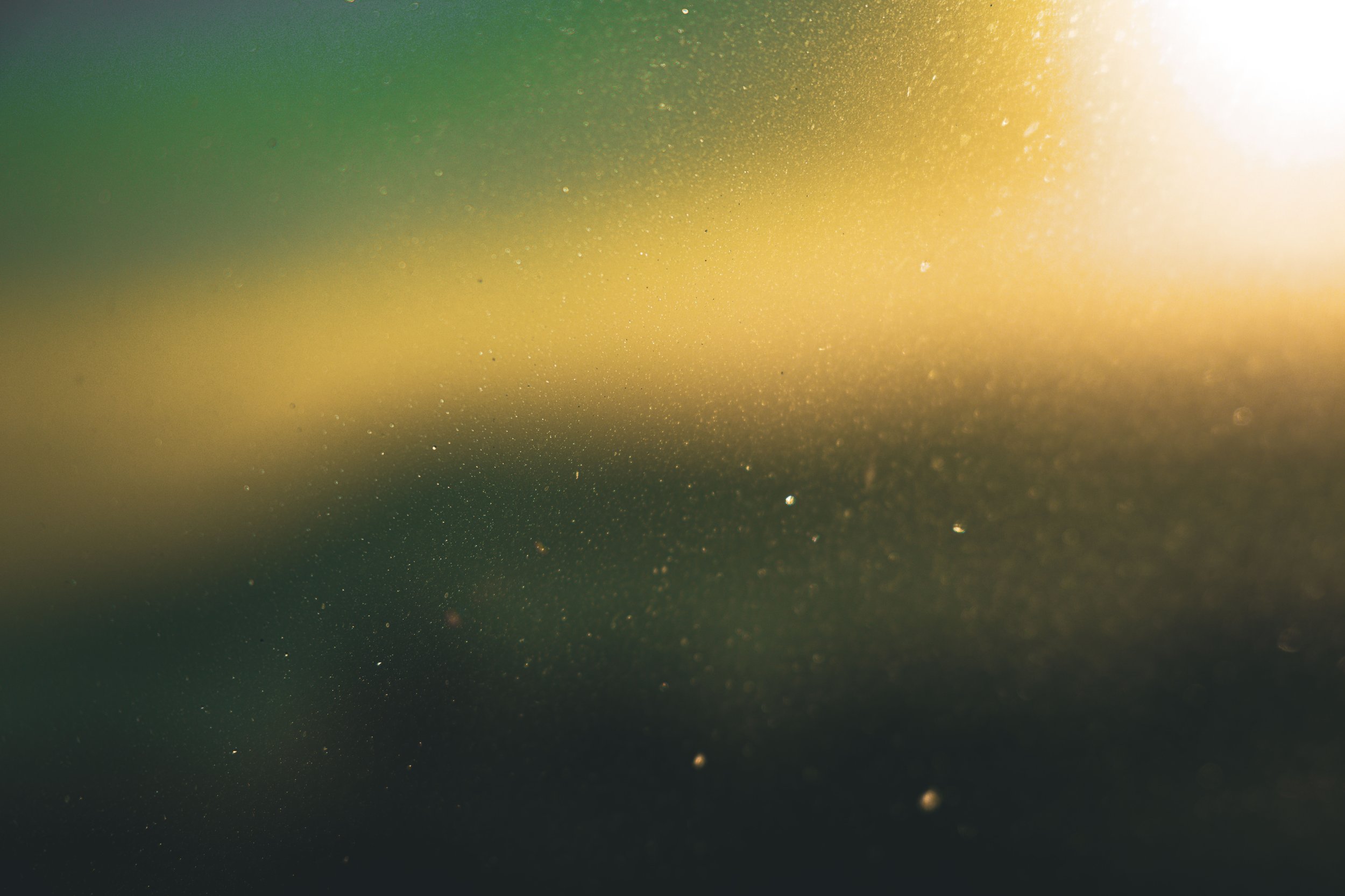 Dust in Light