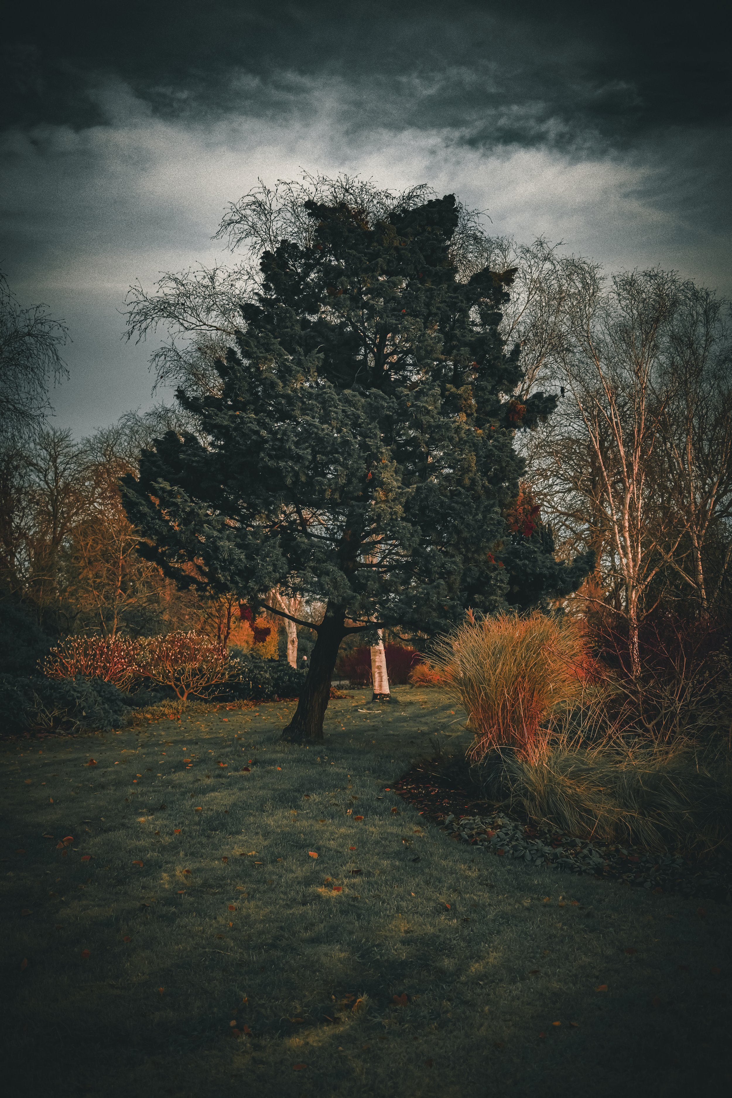 Where the Wind Left Off
