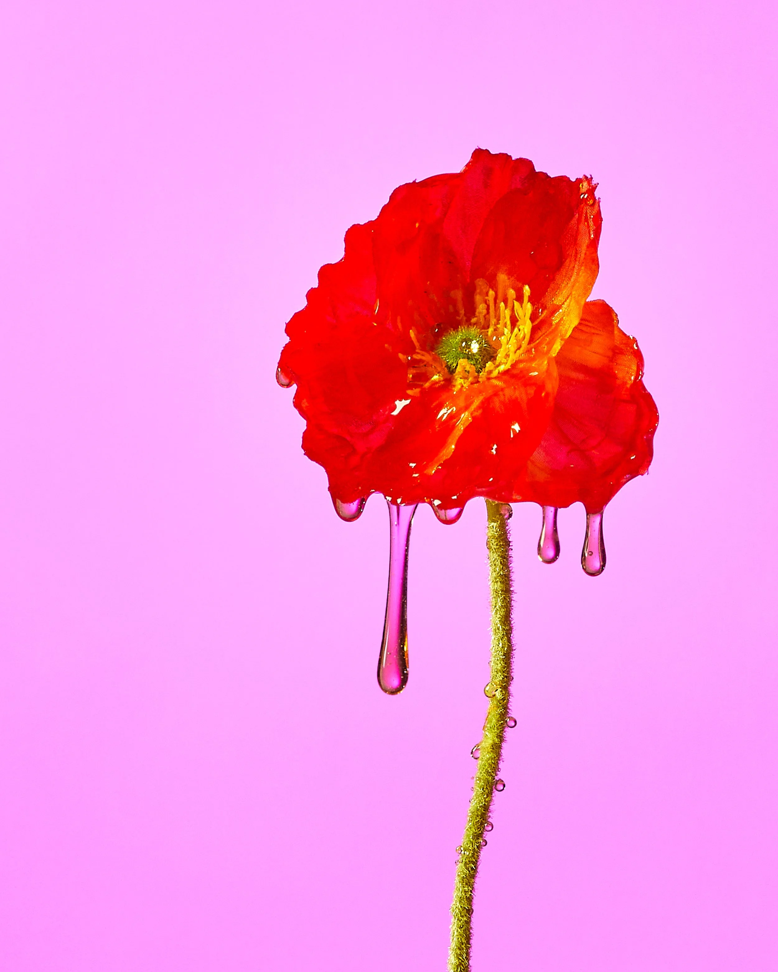 Mellody_March 28 2023_Shot5.jpg