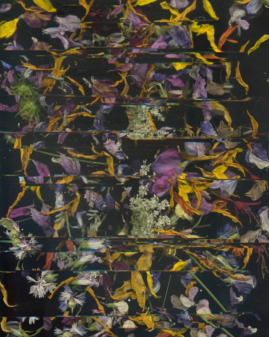 Hattie_Hambridge_CreationFlower Drag 2 copy.jpg