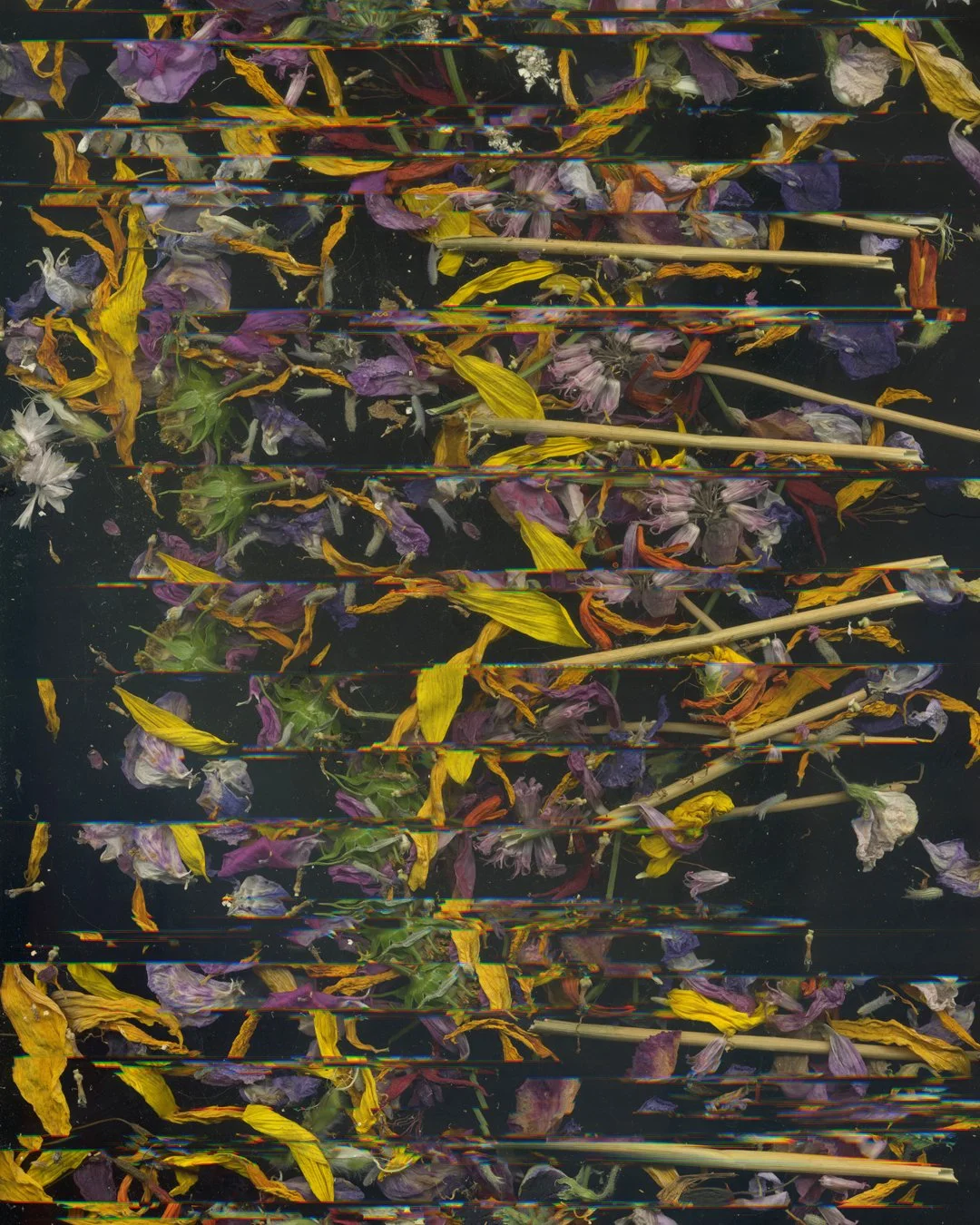 Hattie_Hambridge_CreationFlower Drag 3 copy.jpg