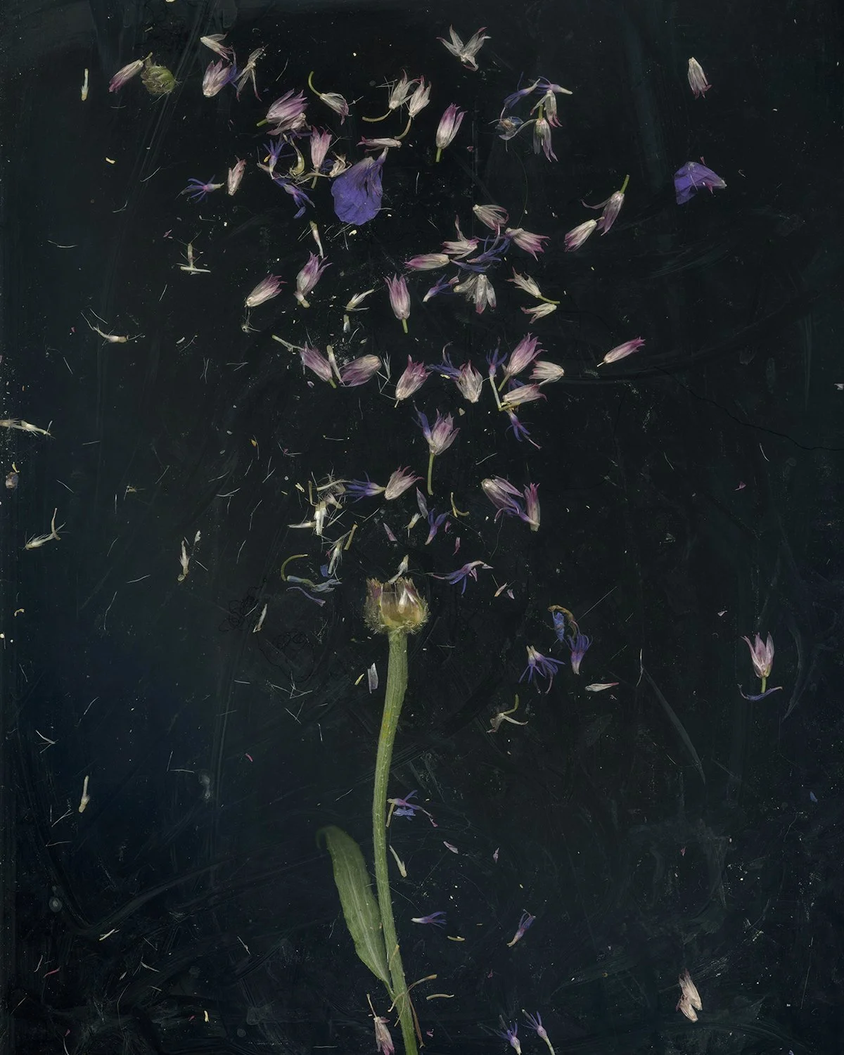 Mixed Flowers 29.jpg