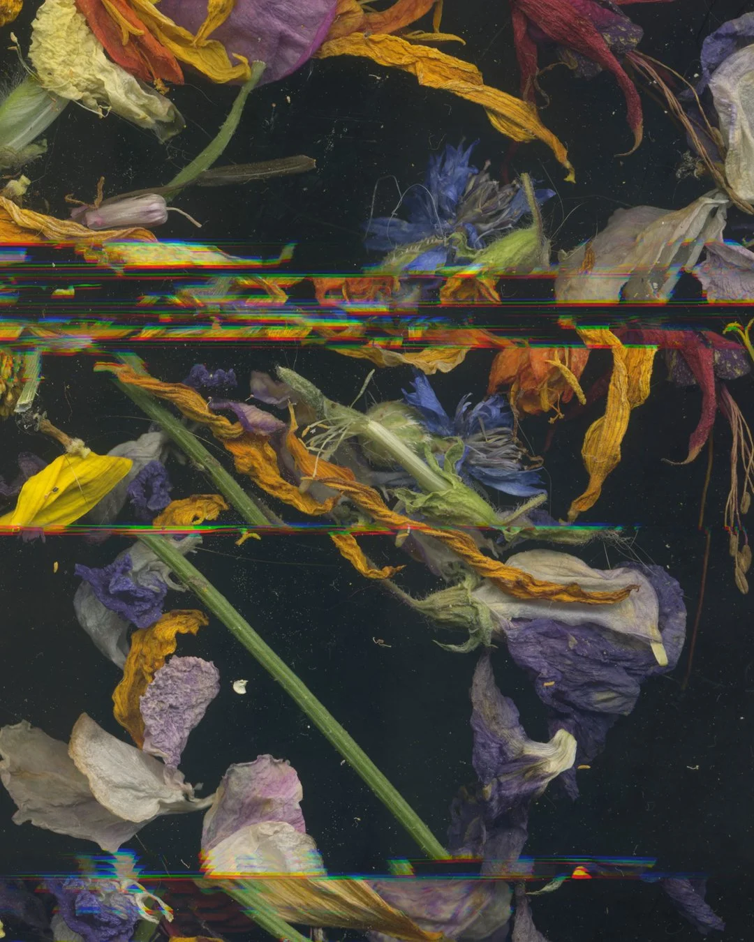 Hattie_Hambridge_CreationFlower Drag 2 copy close up.jpg