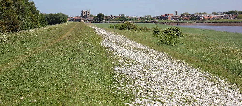 Kings Lynn Town Guides The River Walk 7.jpg