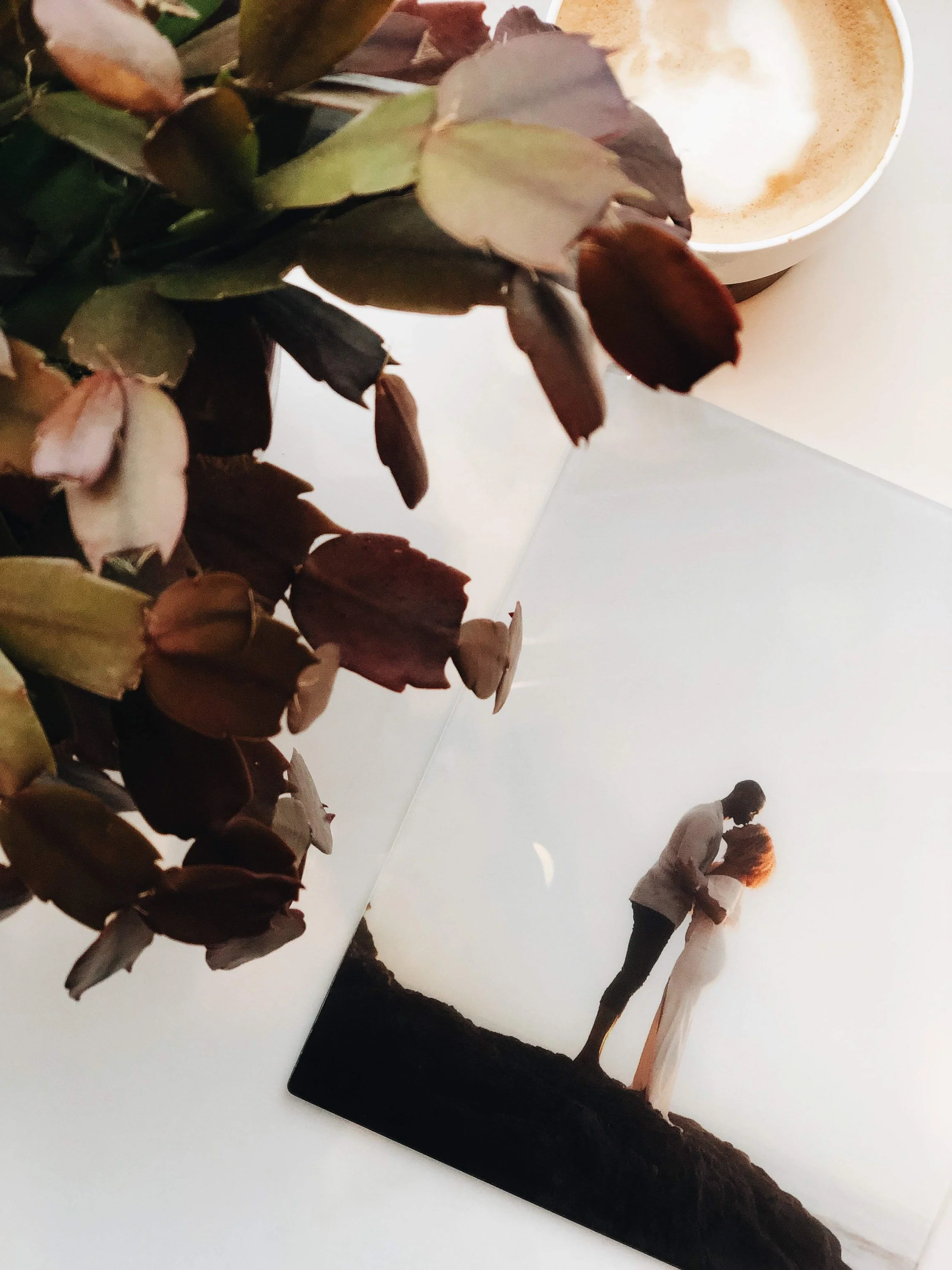 Groom kissing the Bride's forehead on their wedding day.