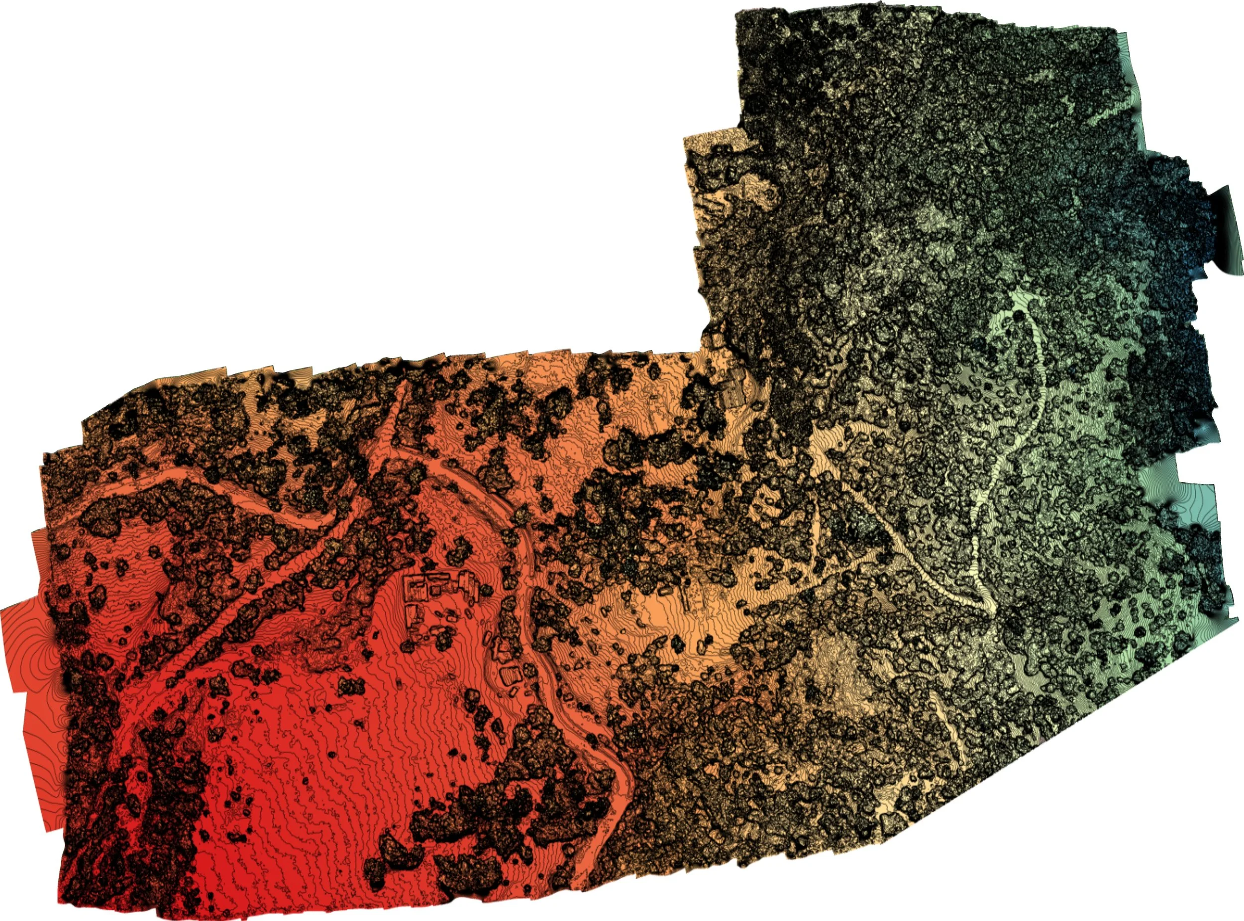 15117 Williams Rd Survey 2_DEM_sm.jpg