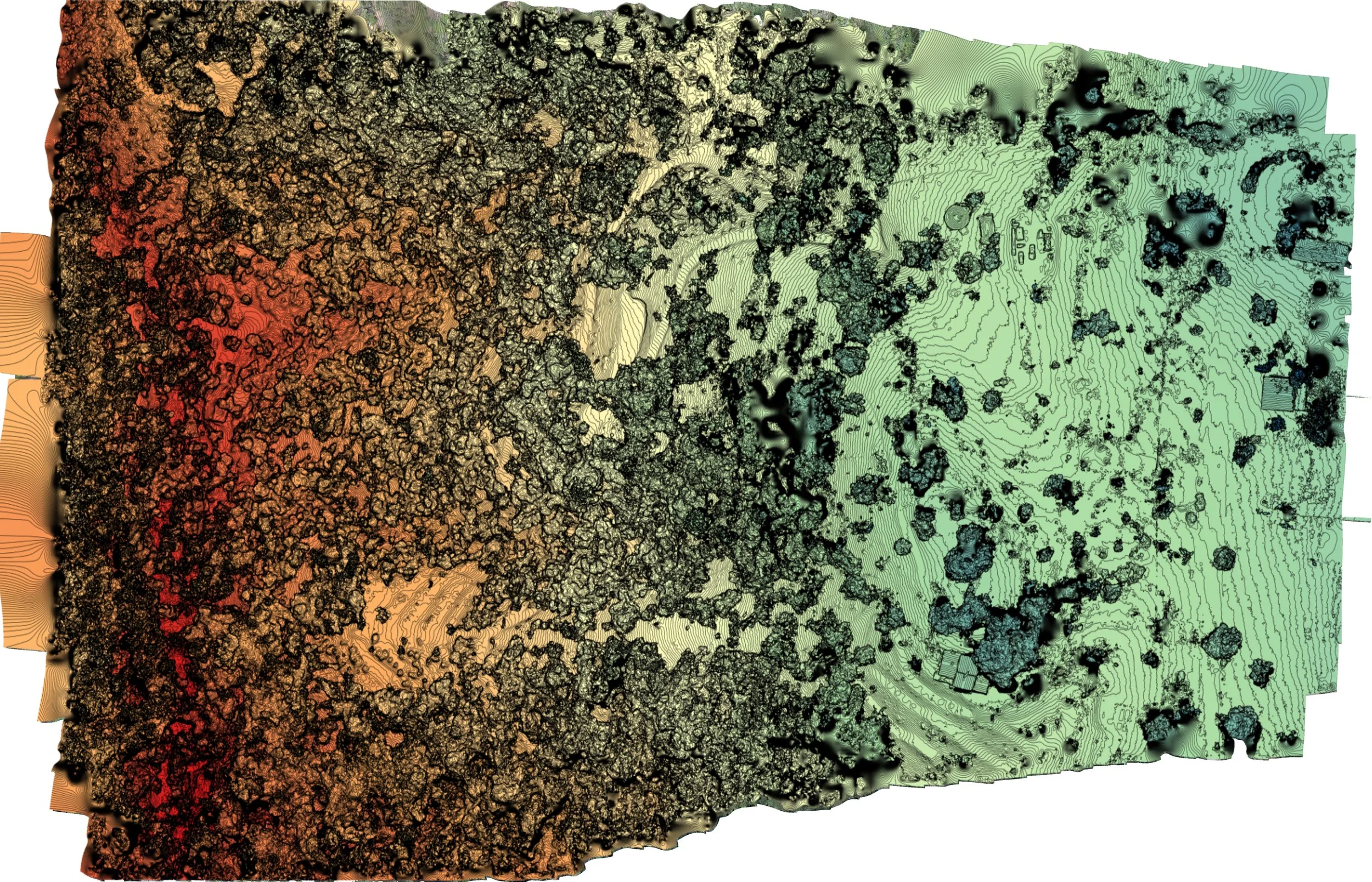 19610 Mockingbird_ 3.26.25_DEM_SM.jpg