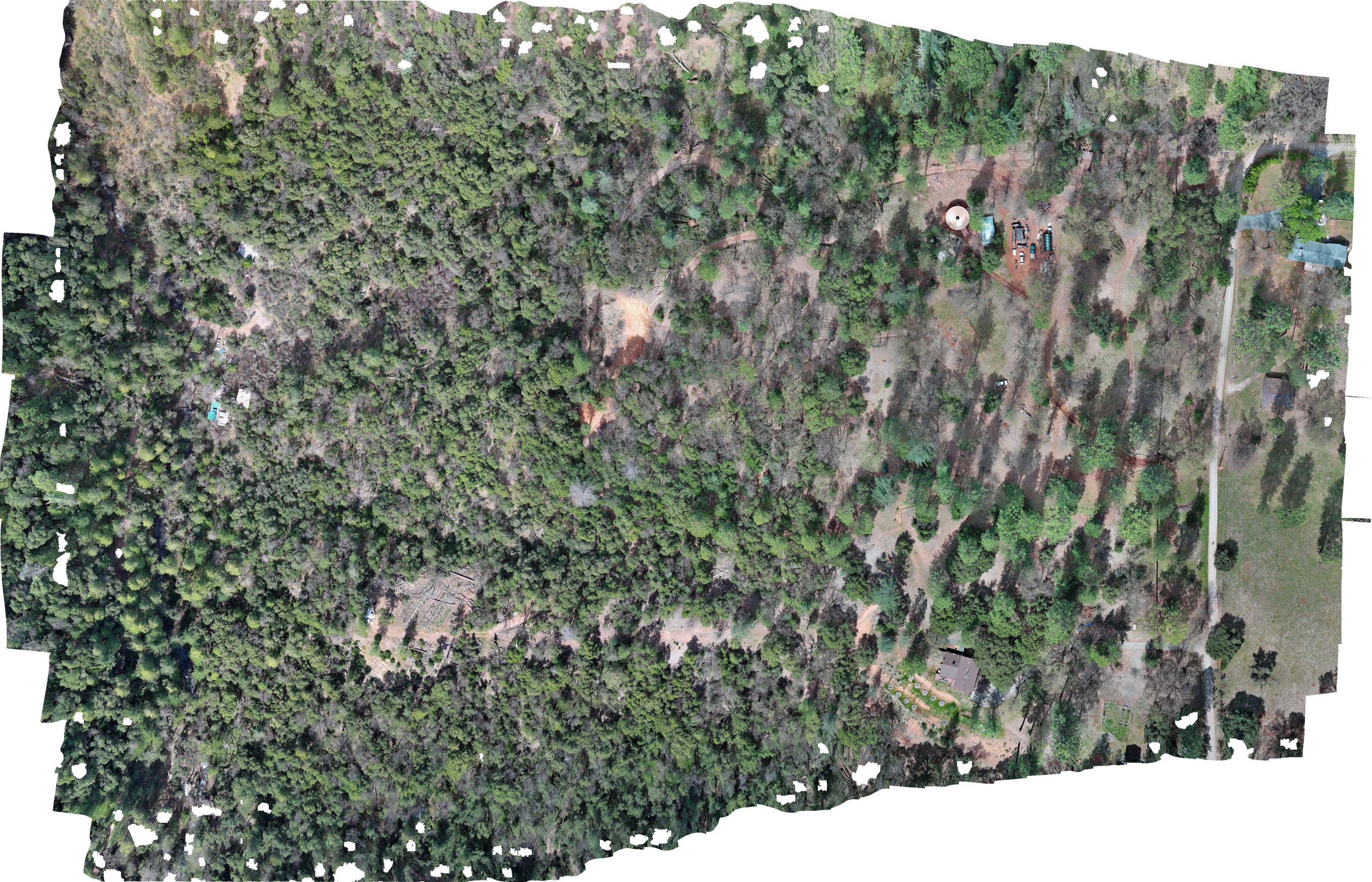 19610 Mockingbird_ 3.26.25_ORTHO_SM.jpg