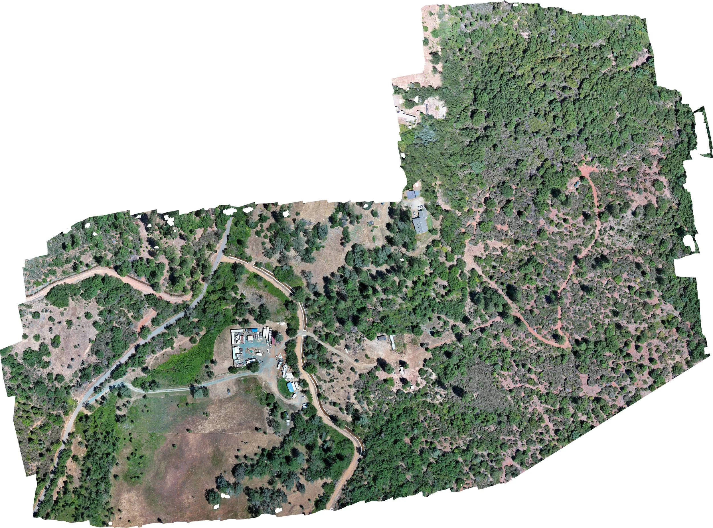 15117 Williams Rd Survey 2_ORTHO_sm.jpg