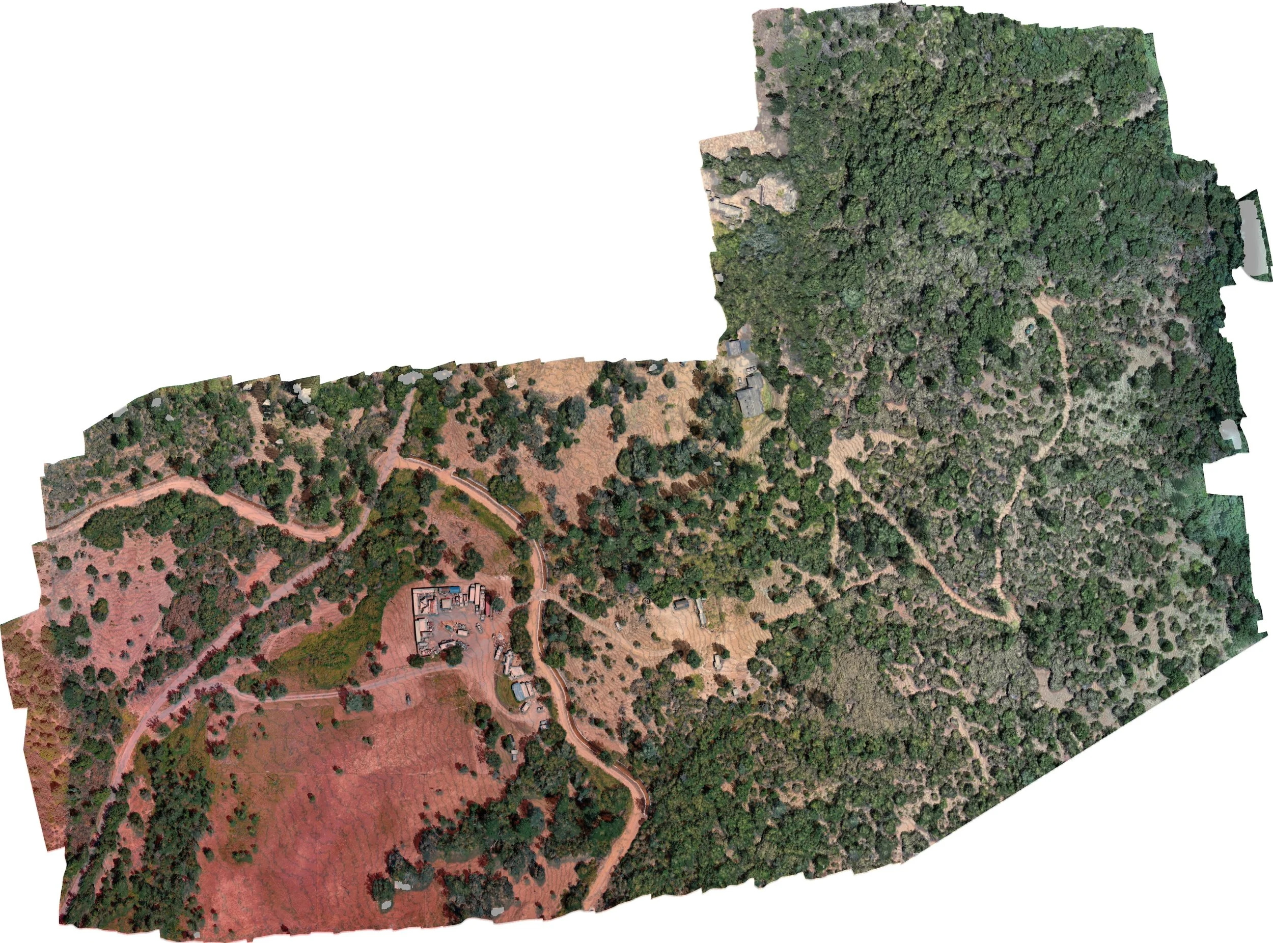 15117 Williams Rd Survey 2_ORTHO DEM_sm.jpg