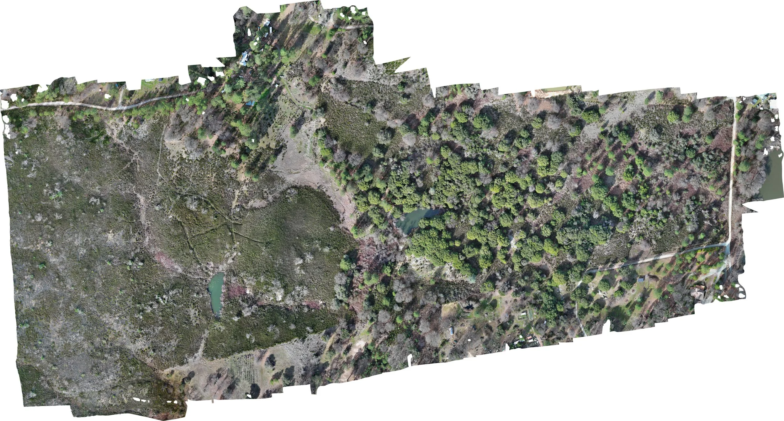 2.22.25 Survey 10425 Fields Dr_sm.jpg