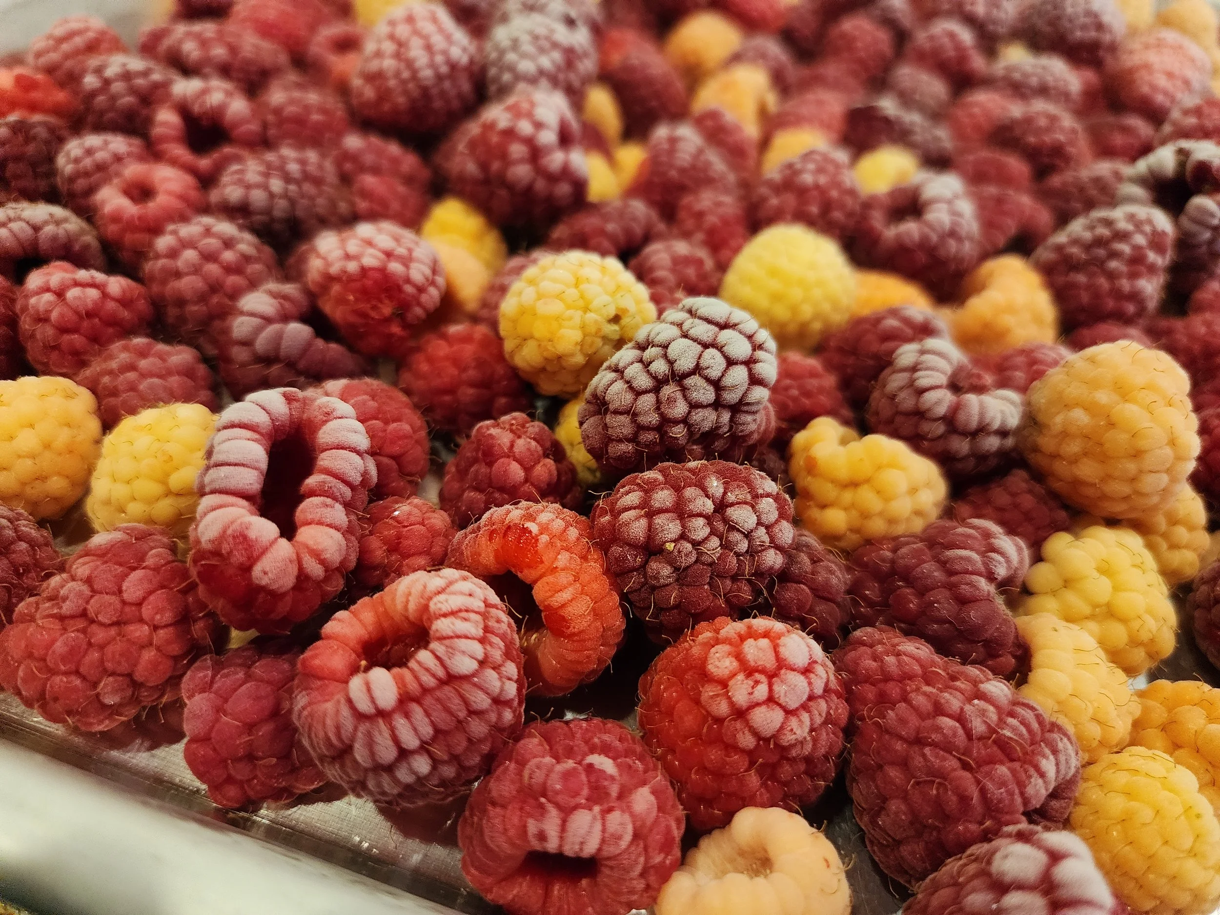 raspberries