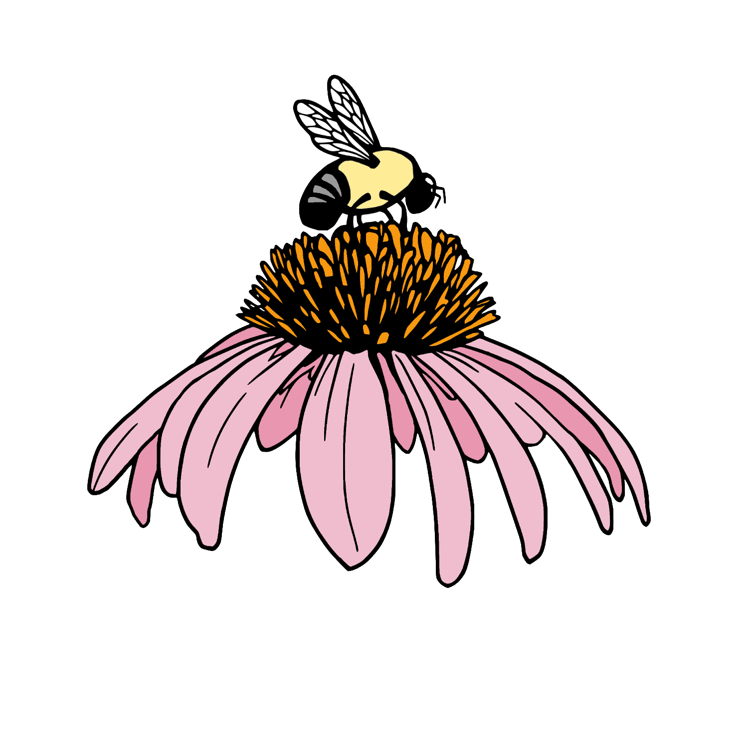  BumbleRootsHerbal: Medicinal, Fruiting, &amp; Ornamental Plants
