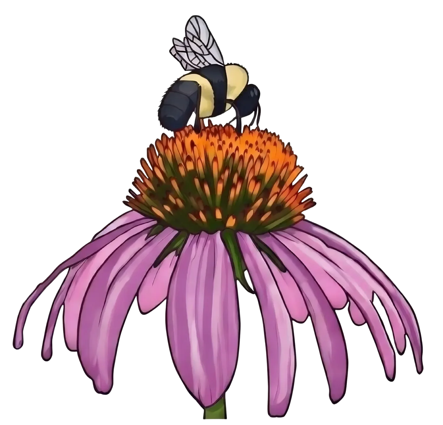  BumbleRootsHerbal: Medicinal, Fruiting, &amp; Ornamental Plants