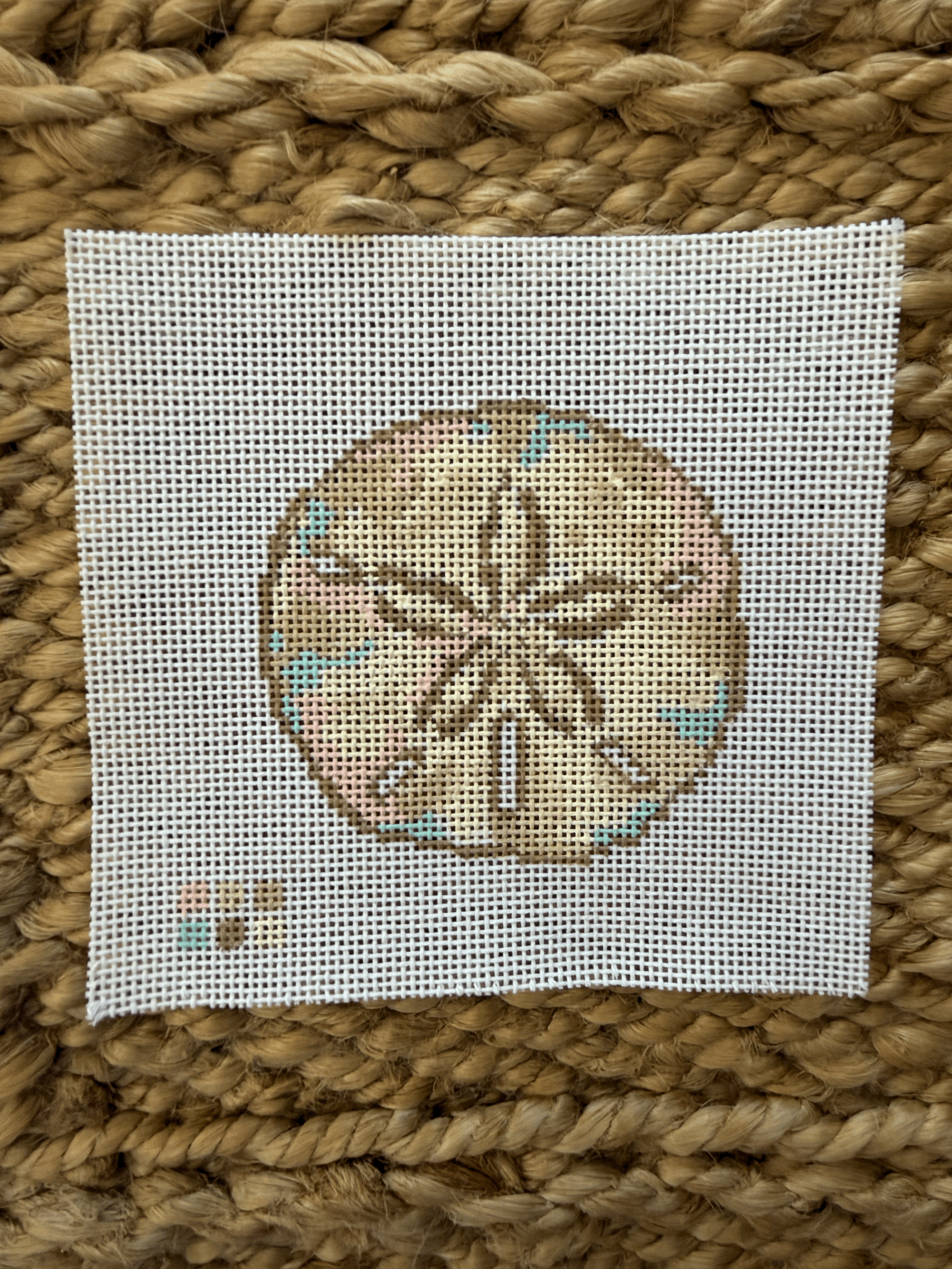 Summer 2026 Beachcomber Series - Sand Dollar *NEW*