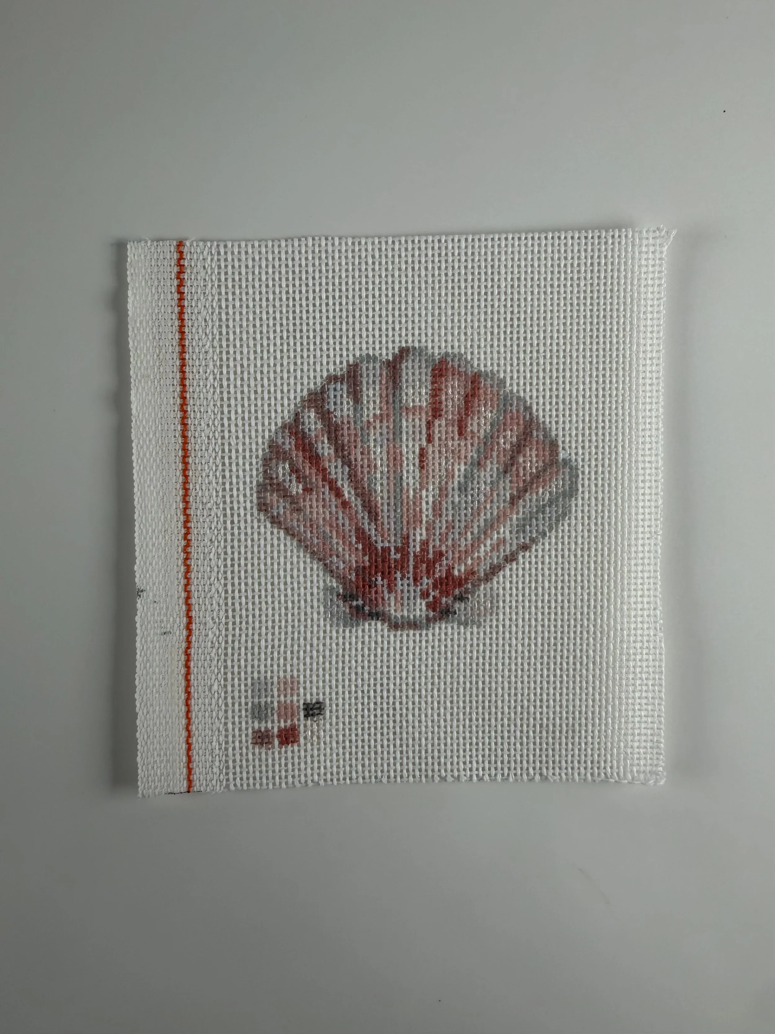 Studio Sale- Scallop