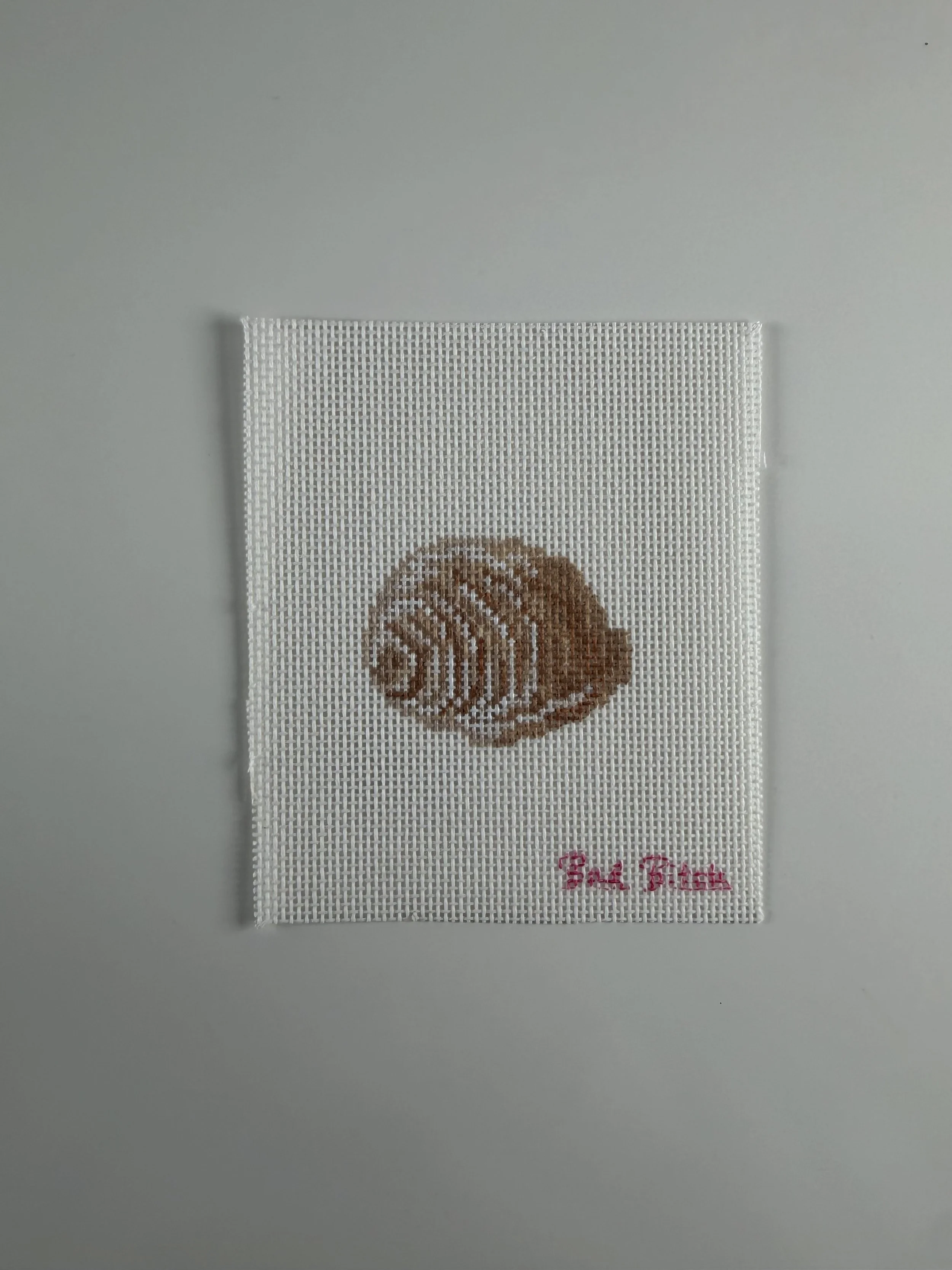 Studio Sale- Scotch Bonnet Shell