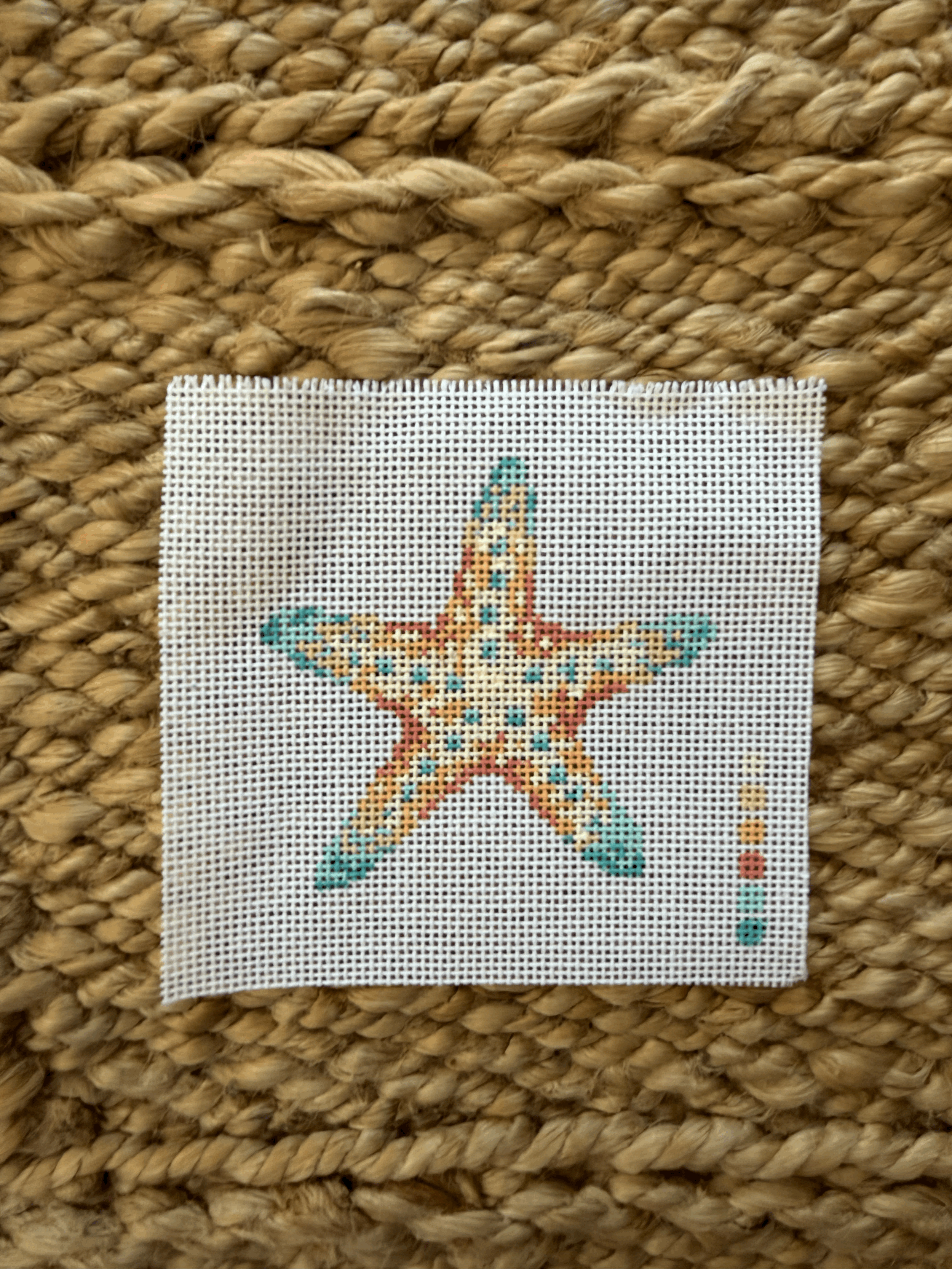 Summer 2026 Beachcomber Series - Starfish *NEW* (Copy)