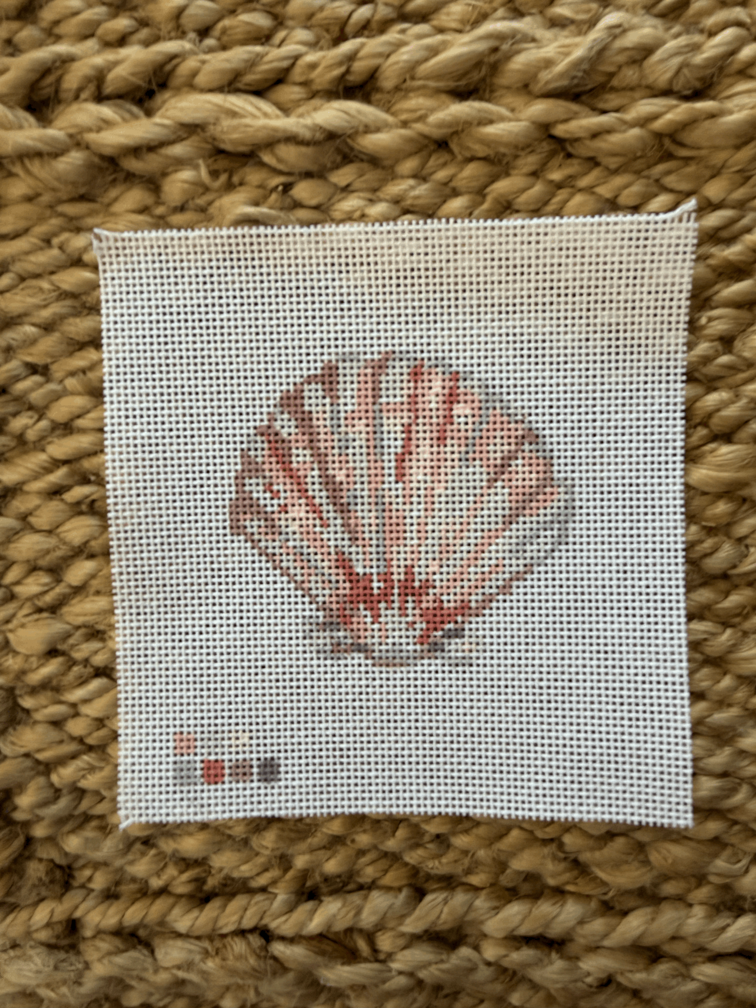 Summer 2026 Beachcomber Series - Scallop Shell *NEW*