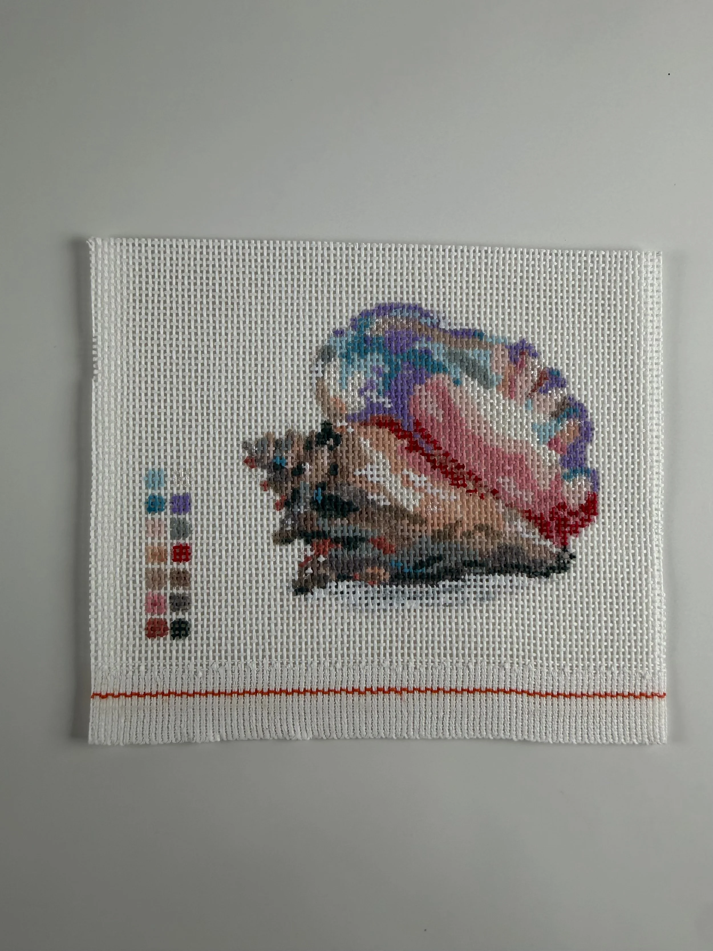 Studio Sale- Queen Conch
