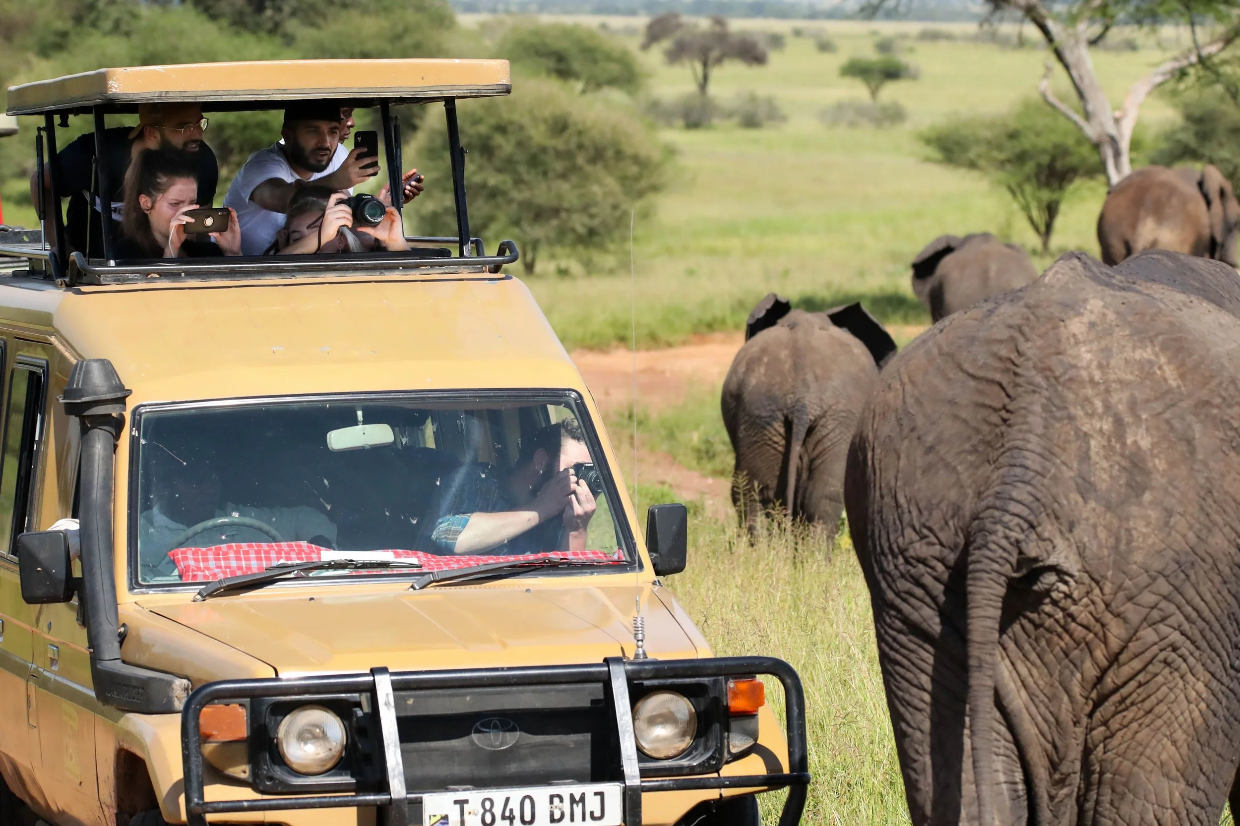 Safari with Grandparents: What Actually Works