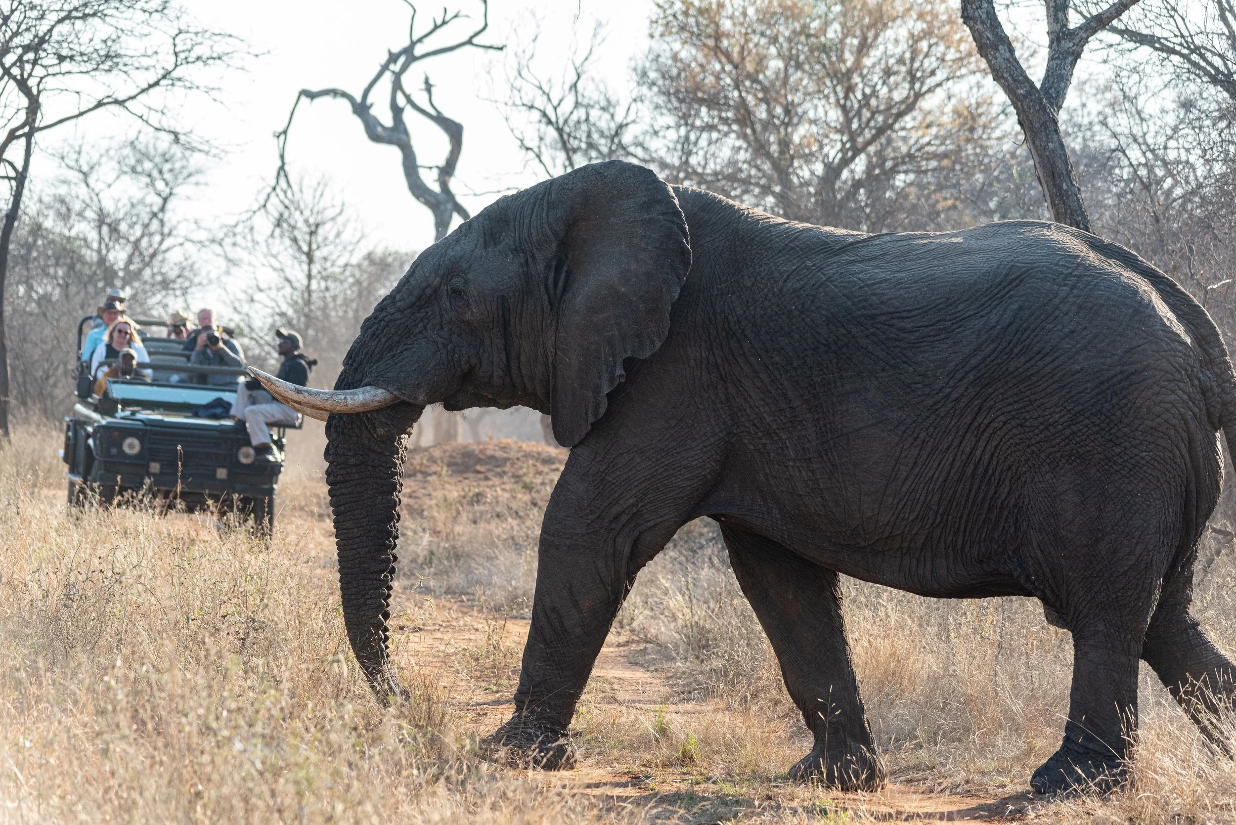 Three generations of a family on safari