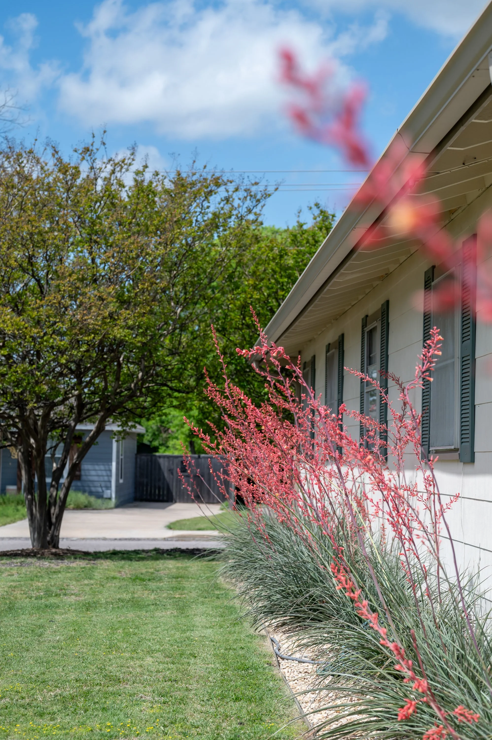 A white house with black shutters, a large green-leafed tree, and pink flowering plants in the front yard on a sunny day.