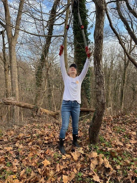 Leslie Shur removing invasive vines