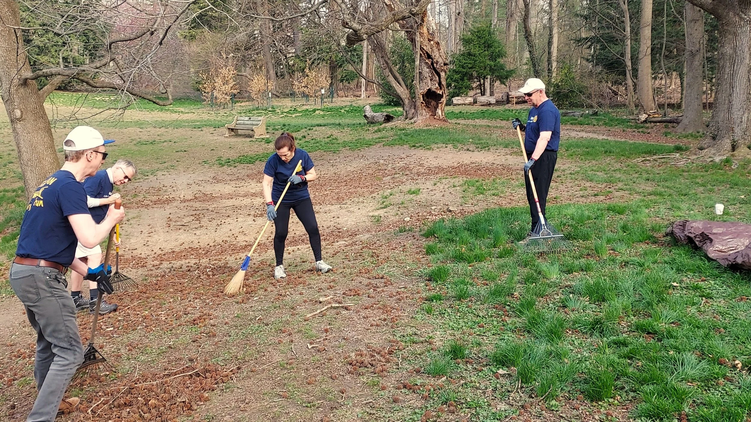 Raking up sweetgumballs
