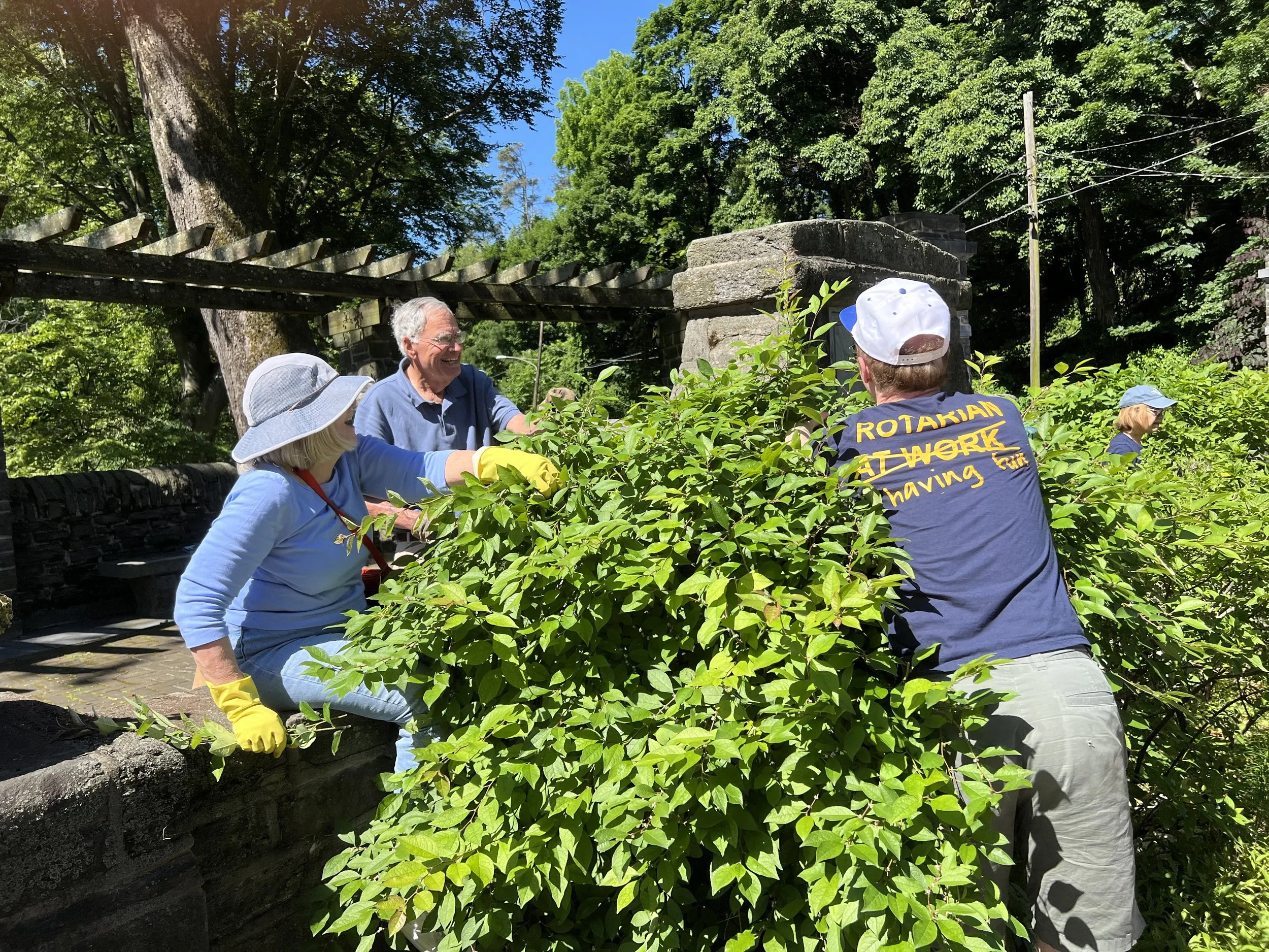 Maintaining the Pergola