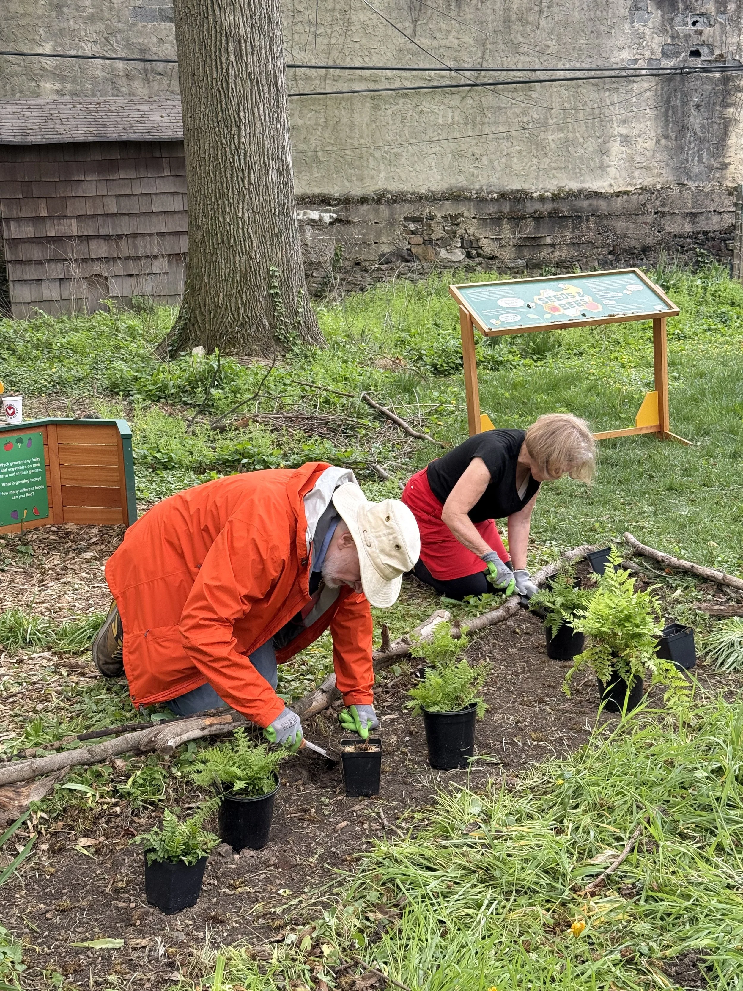 Chestnut Hill Rotary Volunteers at Wyck Historic House and Garden