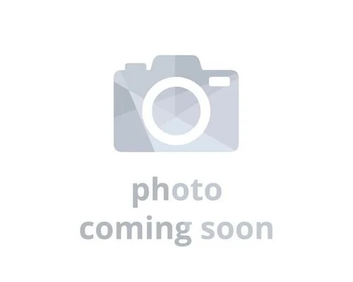 LaToya McCowan Headshot