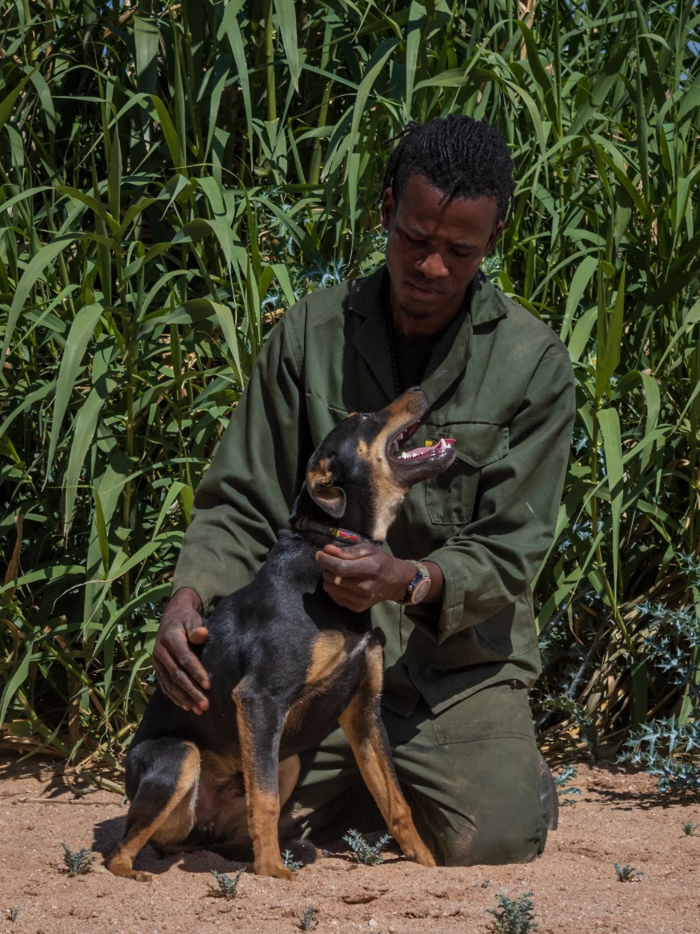 𝗠𝗲𝗲𝘁 𝗖𝗼𝗱𝘆 🐾
Cody is a playful, curious young pup bursting with energy and charm! At just 7 months old, he&rsquo;s in that perfect stage of life where every day is an adventure. Whether he&rsquo;s exploring the world, learning new things, or 
