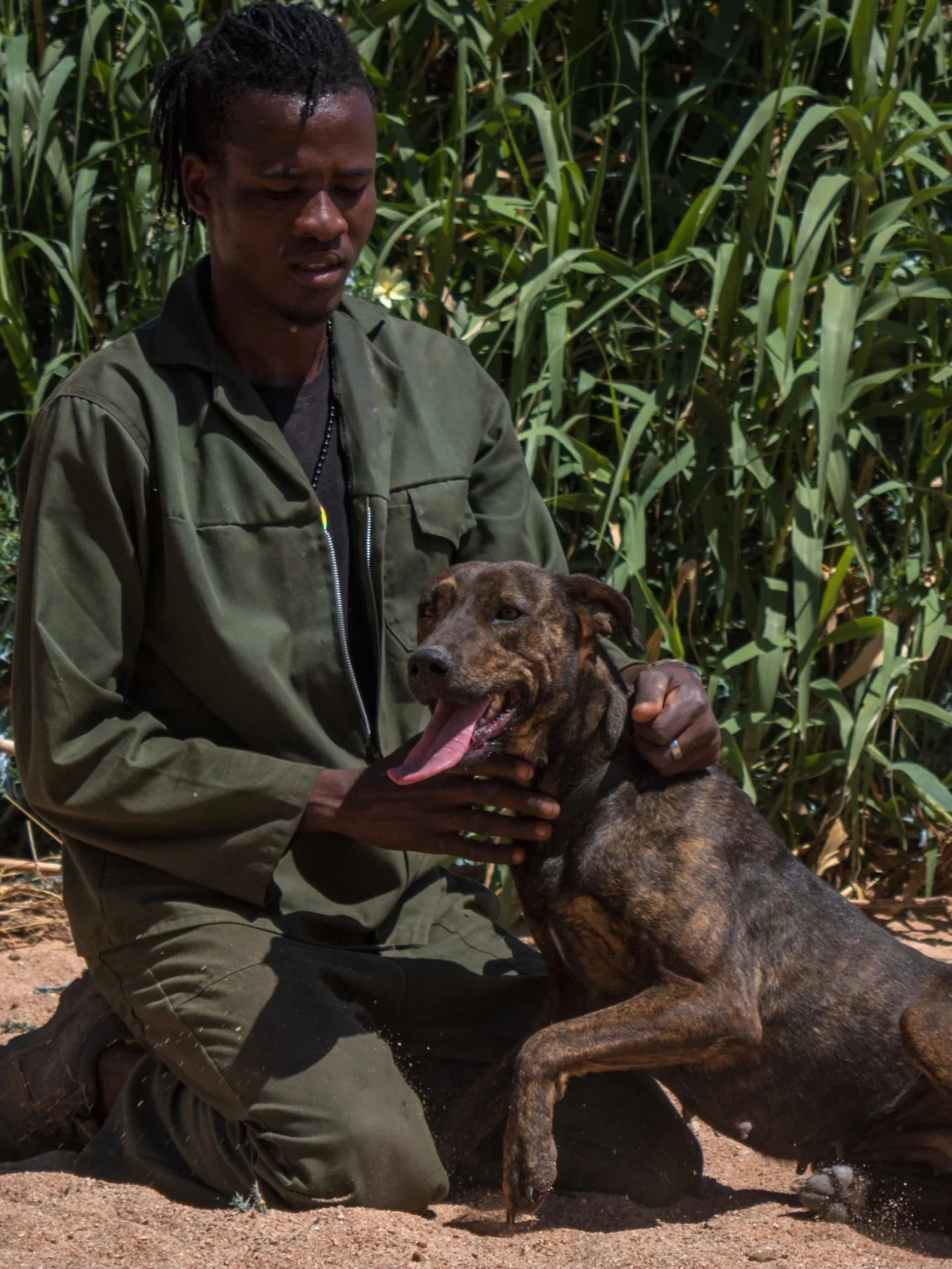 𝗠𝗲𝗲𝘁 𝗕𝗿𝗮𝗻𝗱𝘆 🐾
Brandy is a stunning beauty with her unique marble colouring and a heart overflowing with love. Energetic, intelligent and deeply loyal, she&rsquo;s the kind of dog who bonds strongly with her people and thrives on connection