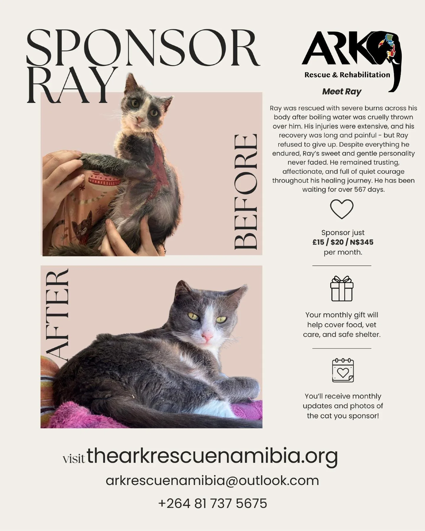 𝗘𝘅𝗰𝗶𝘁𝗶𝗻𝗴 𝗻𝗲𝘄𝘀! 💛🐾
Our Sponsor a Dog initiative has been such a success that it aims to cover approximately 10% of our monthly running costs - and with your help we&rsquo;re excited to take the next big step for The ARK!

We are so happy