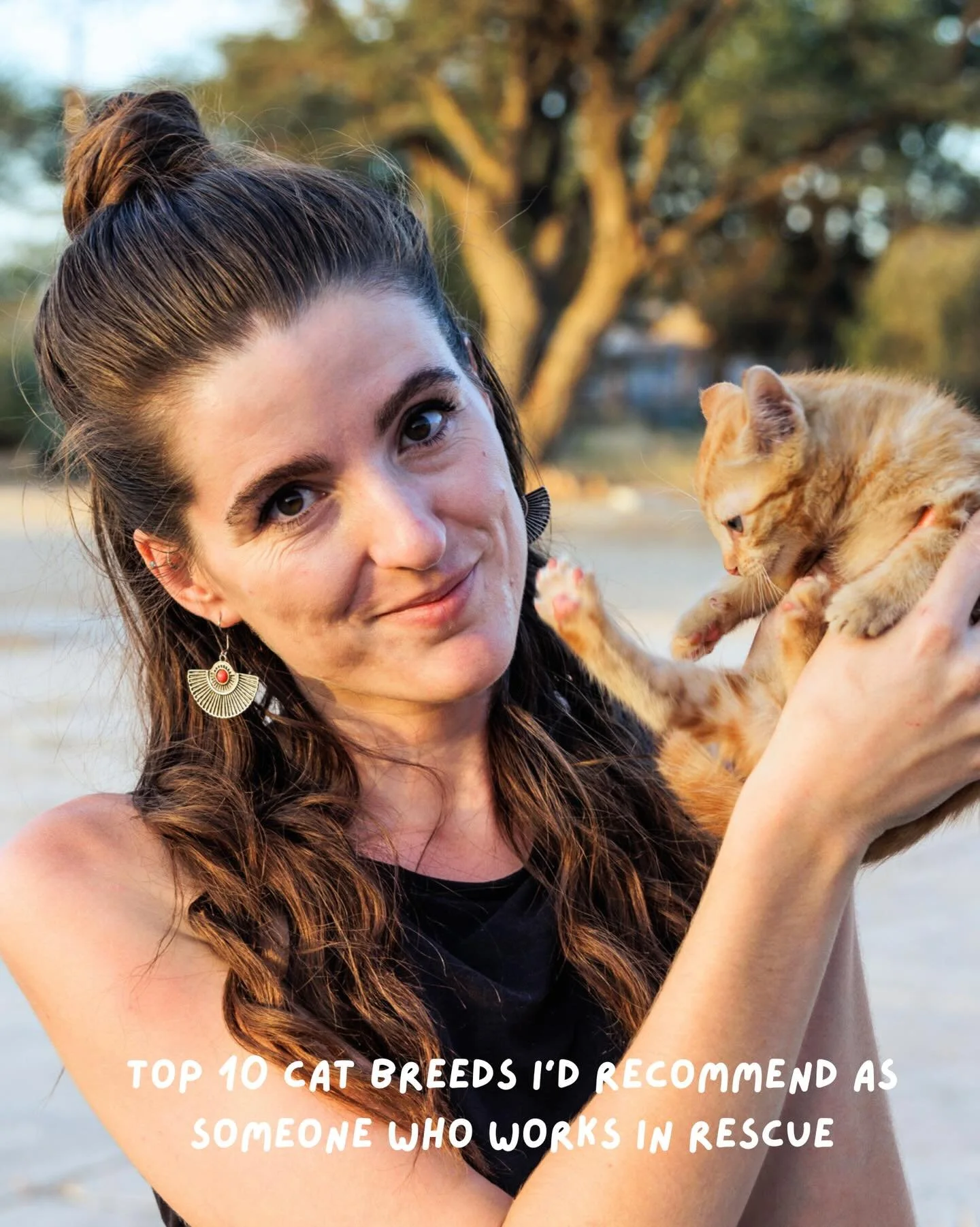 𝗧𝗼𝗽 𝟭𝟬 𝗰𝗮𝘁 𝗯𝗿𝗲𝗲𝗱𝘀 𝗜&rsquo;𝗱 𝗿𝗲𝗰𝗼𝗺𝗺𝗲𝗻𝗱 𝗮𝘀 𝘀𝗼𝗺𝗲𝗼𝗻𝗲 𝘄𝗵𝗼 𝘄𝗼𝗿𝗸𝘀 𝗶𝗻 𝗿𝗲𝘀𝗰𝘂𝗲 🫶