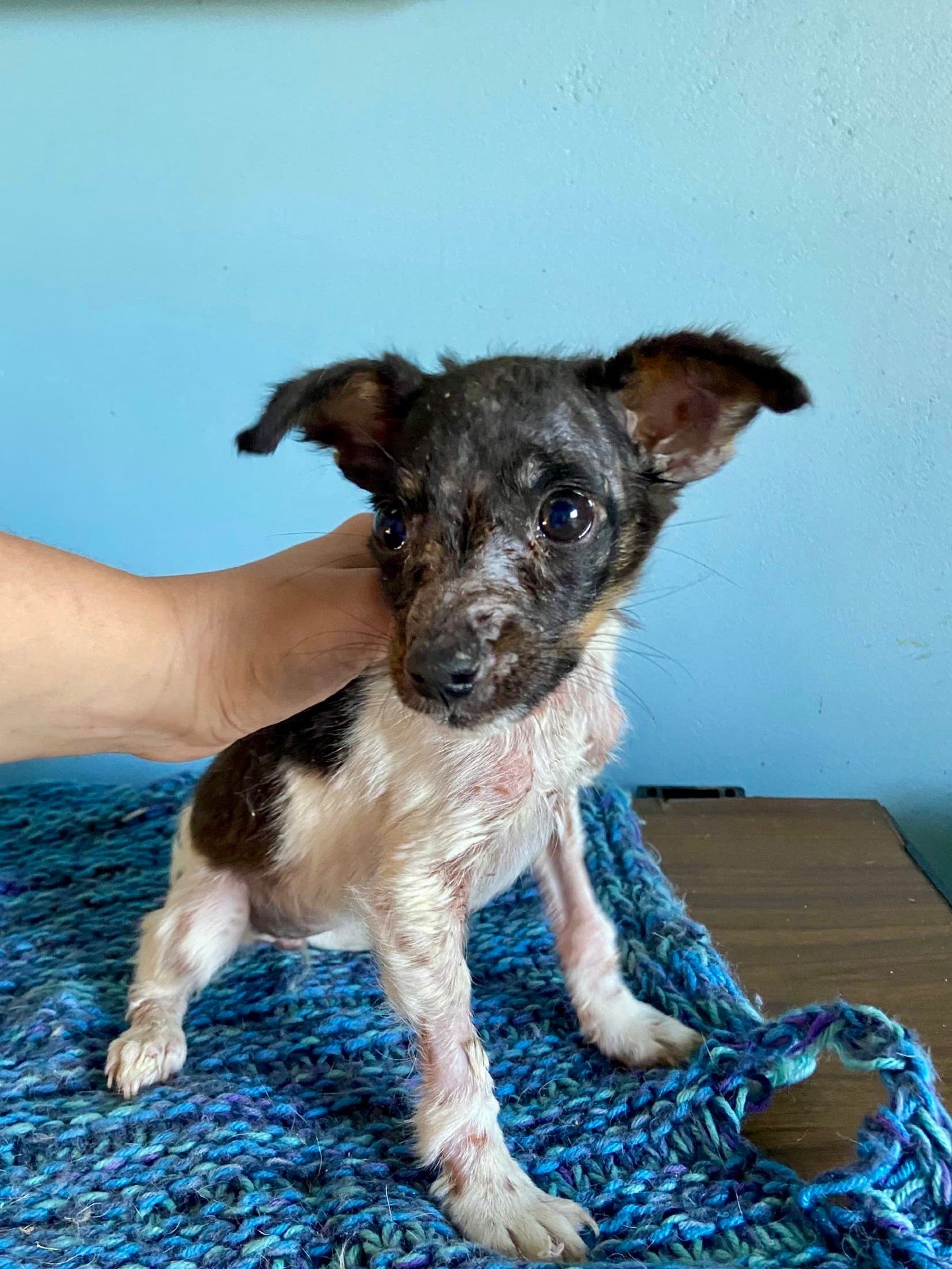 𝗔𝗺𝗮𝘇𝗶𝗻𝗴 𝗻𝗲𝘄𝘀! ✨
Thanks to the incredible generosity of Chanel, Karen, Yvonne, Vera, Coleen, Schubert and one anonymous donor, we&rsquo;ve received another N$4,400 toward our November bills! This means we now only need N$5,755 to cover the 