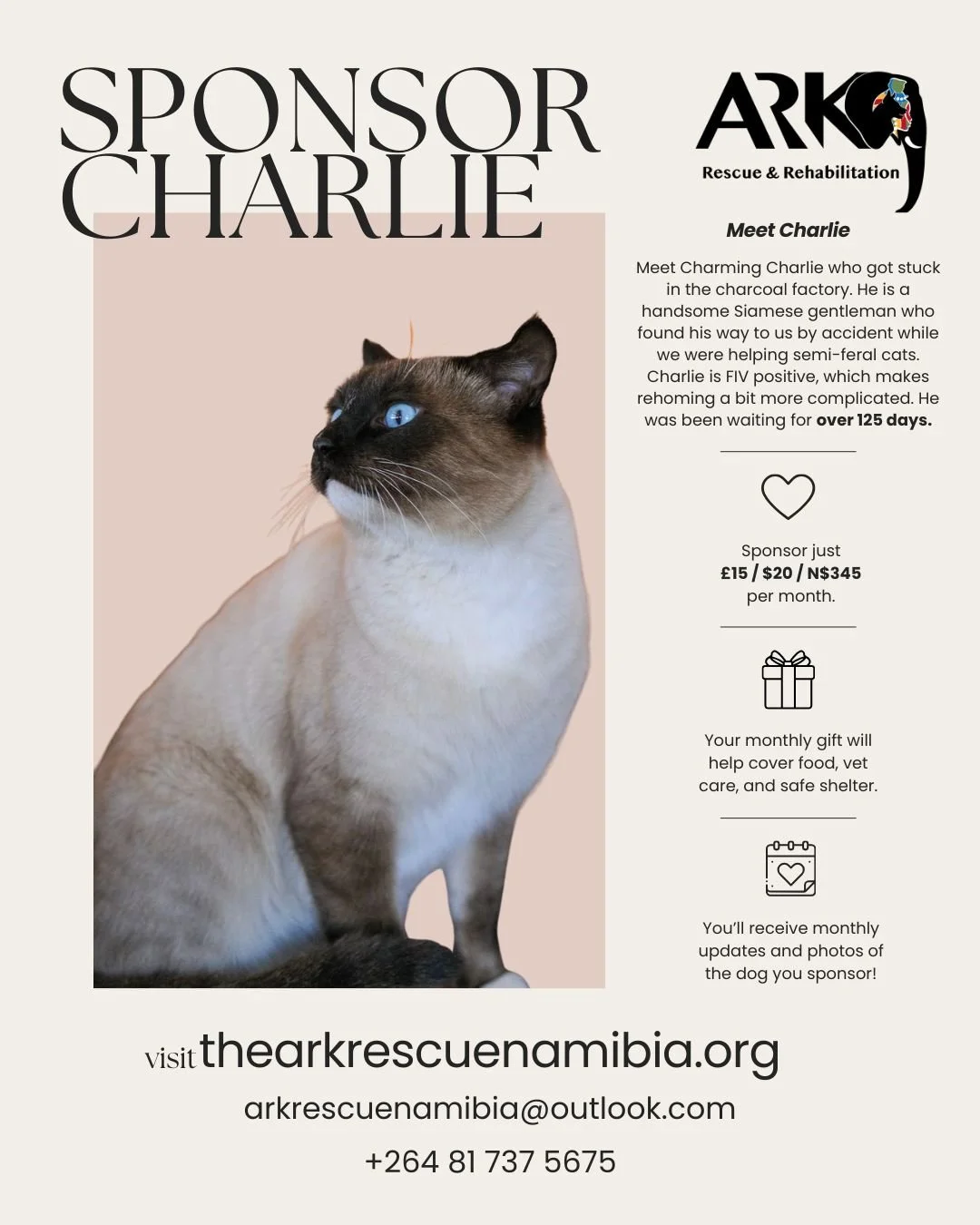 𝗖𝗵𝗮𝗿𝗹𝗶𝗲 𝗮𝗻𝗱 𝘁𝗵𝗲 𝗰𝗵𝗮𝗿𝗰𝗼𝗮𝗹 𝗳𝗮𝗰𝘁𝗼𝗿𝘆 💙 𝗦𝗽𝗼𝗻𝘀𝗼𝗿 𝗖𝗛𝗔𝗥𝗟𝗜𝗘 𝘁𝗼𝗱𝗮𝘆!

Meet Charming Charlie, the handsome Siamese gentleman who unexpectedly crossed our path after getting himself stuck in a charcoal factory. Whil