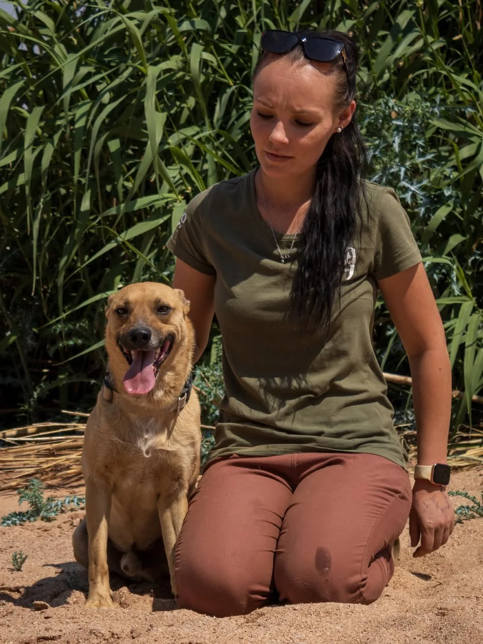 𝗦𝗰𝗼𝗼𝗯𝘆 𝗶𝘀 𝗮 𝗴𝗲𝗻𝘁𝗹𝗲, 𝘀𝗼𝗳𝘁-𝗵𝗲𝗮𝗿𝘁𝗲𝗱 𝗯𝗼𝘆 𝘄𝗵𝗼 𝗷𝘂𝘀𝘁 𝘄𝗮𝗻𝘁𝘀 𝘁𝗼 𝗯𝗲 𝗹𝗼𝘃𝗲𝗱. 🤎🐕 

Scooby is a soft-hearted, affectionate soul who just wants to be loved. Calm and loyal, he&rsquo;s happiest curled up beside you