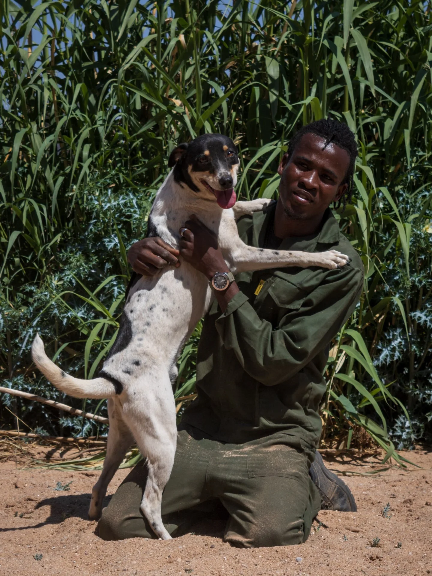 𝗝𝗮𝘀𝗽𝗲𝗿 𝗶𝘀 𝗮 𝗯𝘂𝗻𝗱𝗹𝗲 𝗼𝗳 𝗲𝗻𝗲𝗿𝗴𝘆 𝗮𝗻𝗱 𝗷𝗼𝘆 𝘄𝗵𝗼 𝘁𝘂𝗿𝗻𝘀 𝗲𝘃𝗲𝗿𝘆 𝗺𝗼𝗺𝗲𝗻𝘁 𝗶𝗻𝘁𝗼 𝗽𝗹𝗮𝘆𝘁𝗶𝗺𝗲. 🤍🖤 

With his big heart and endless enthusiasm, he&rsquo;s just as loving as he is lively. He gets along wonderfu